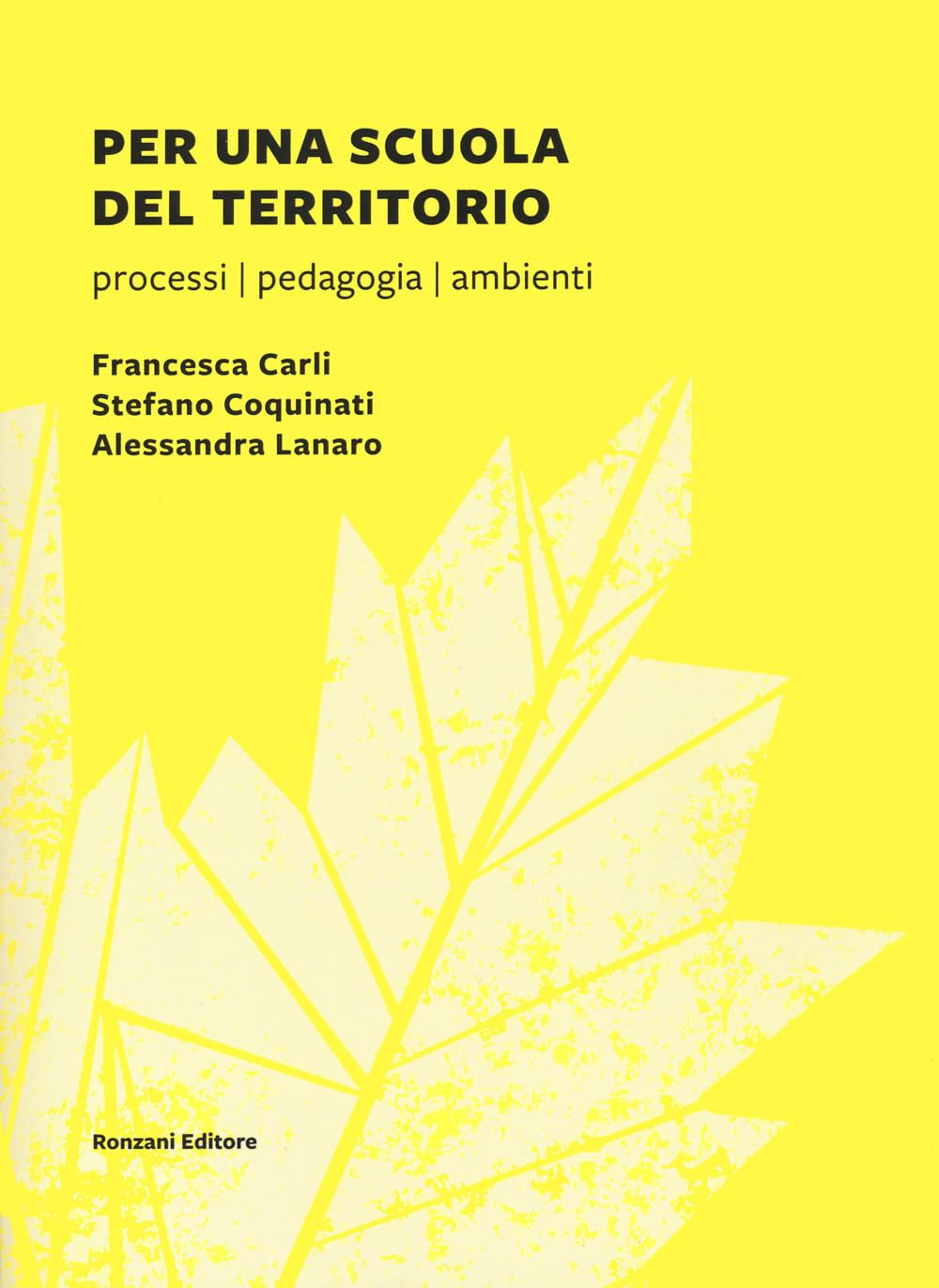 Per una scuola del territorio. Processi, pedagogia, ambienti Social Sciences