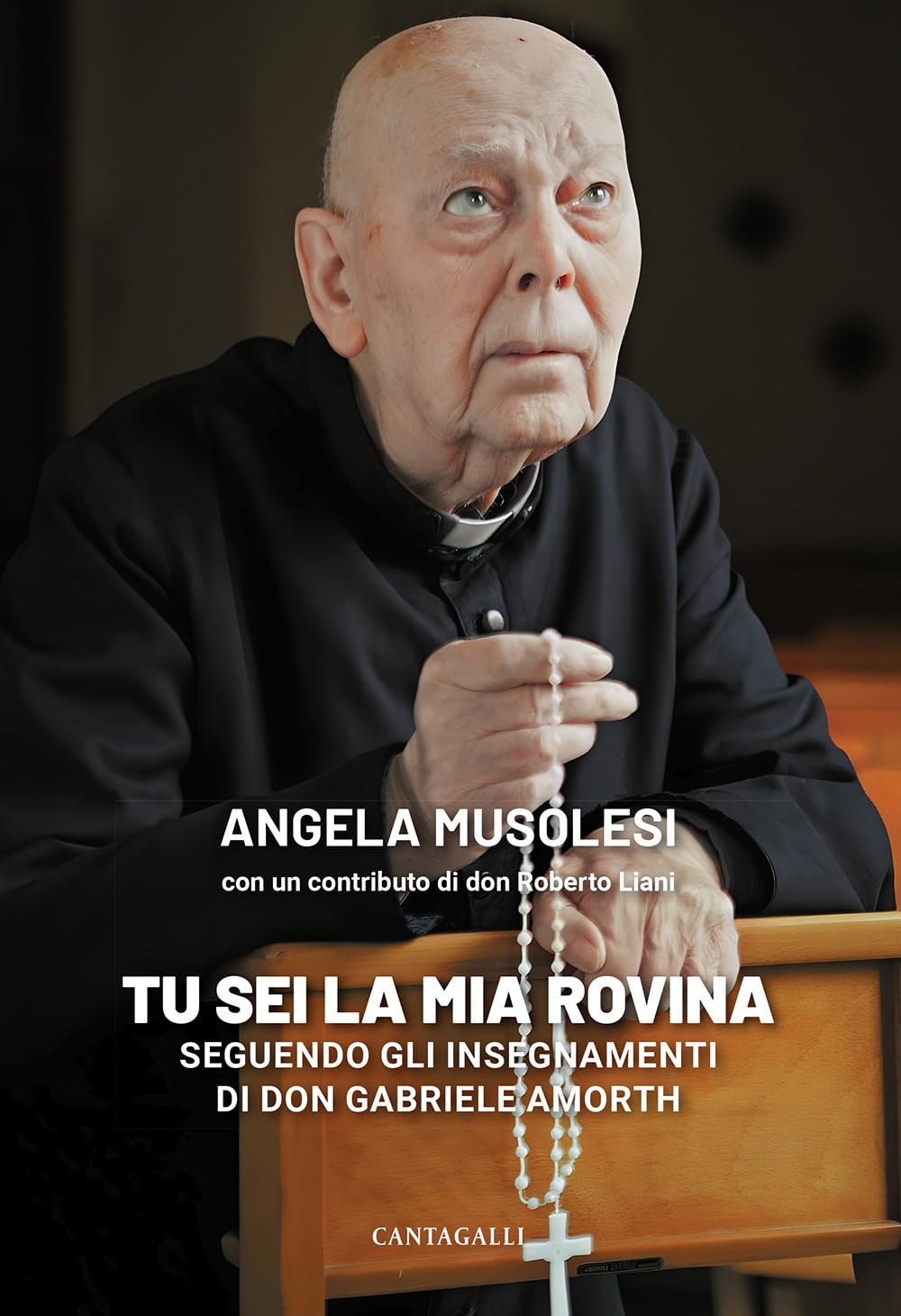«Tu sei la mia rovina». Seguendo gli insegnamenti di don Gabriele Amorth book