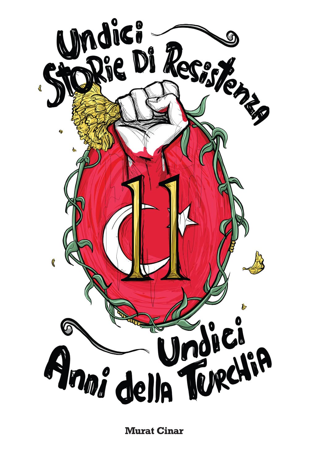 Undici storie di resistenza, undici anni della Turchia book