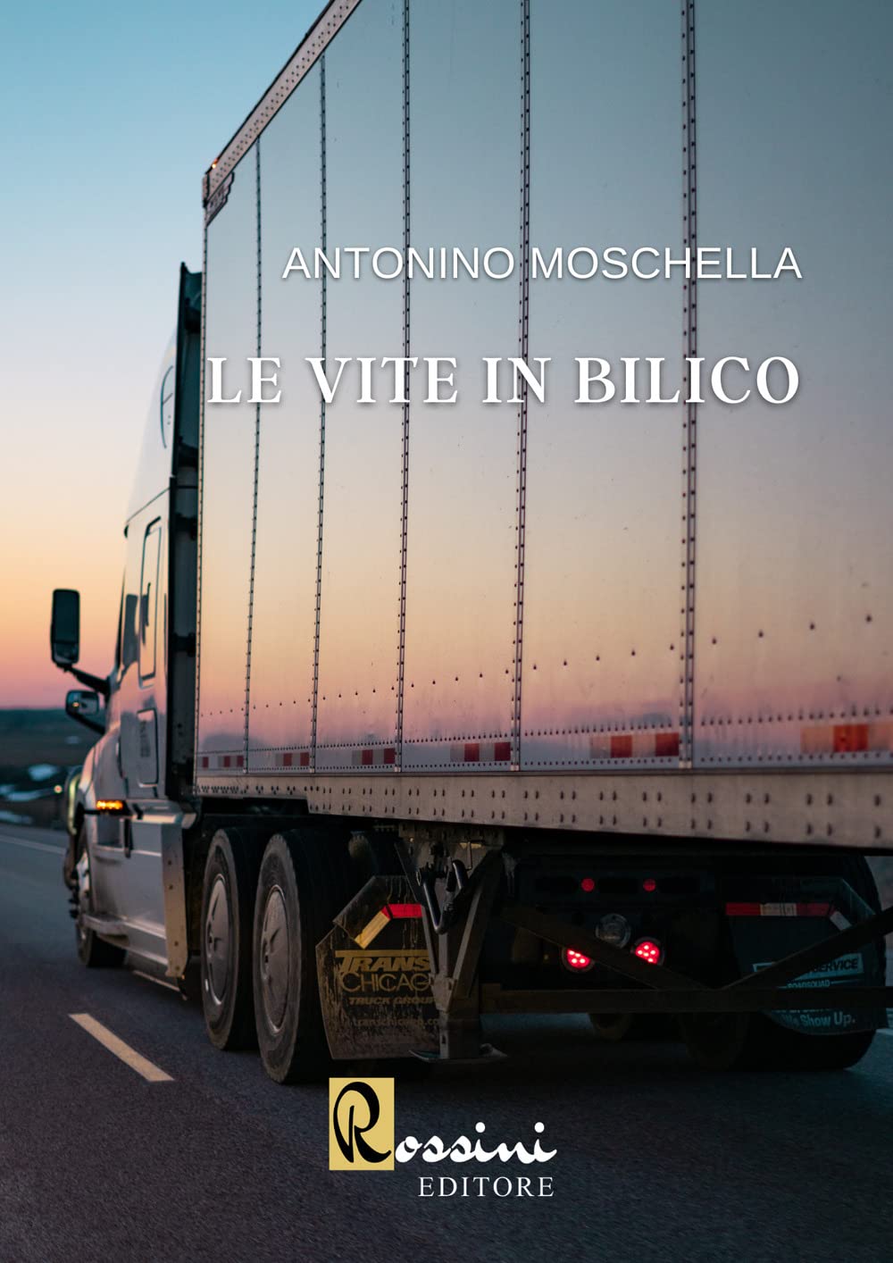 Le vite in bilico book