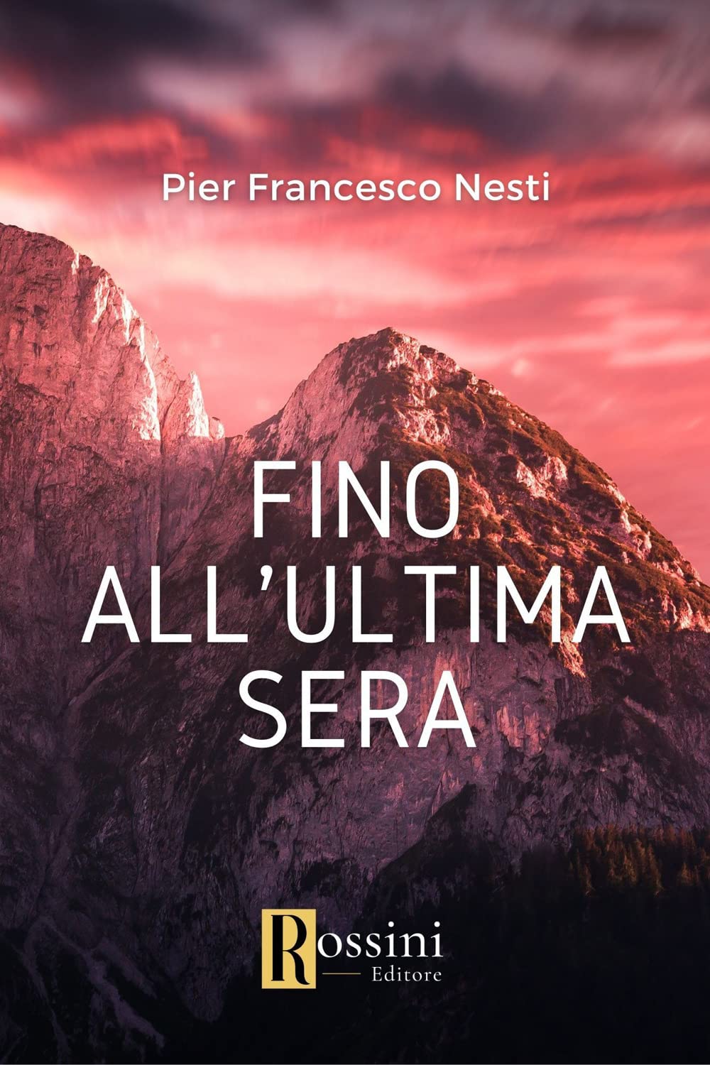 Fino all'ultima sera book