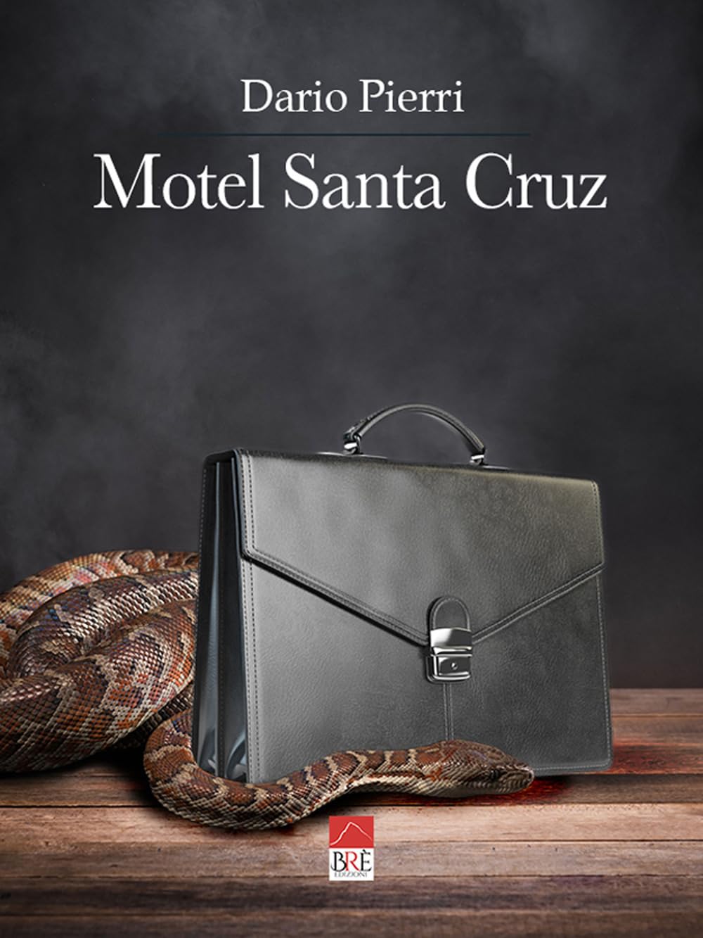 Motel Santa Cruz book