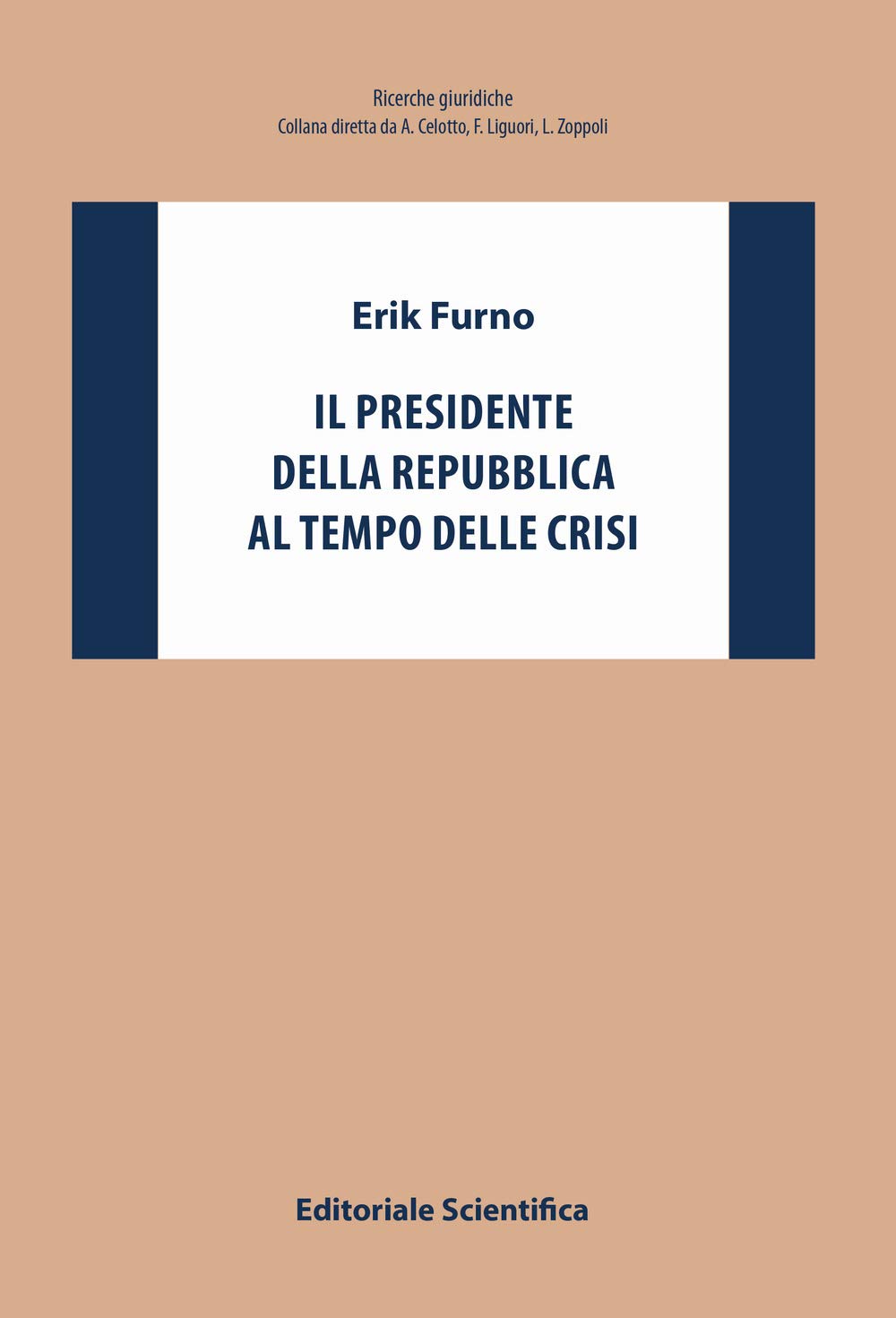 Il Presidente della Repubblica al tempo delle crisi book