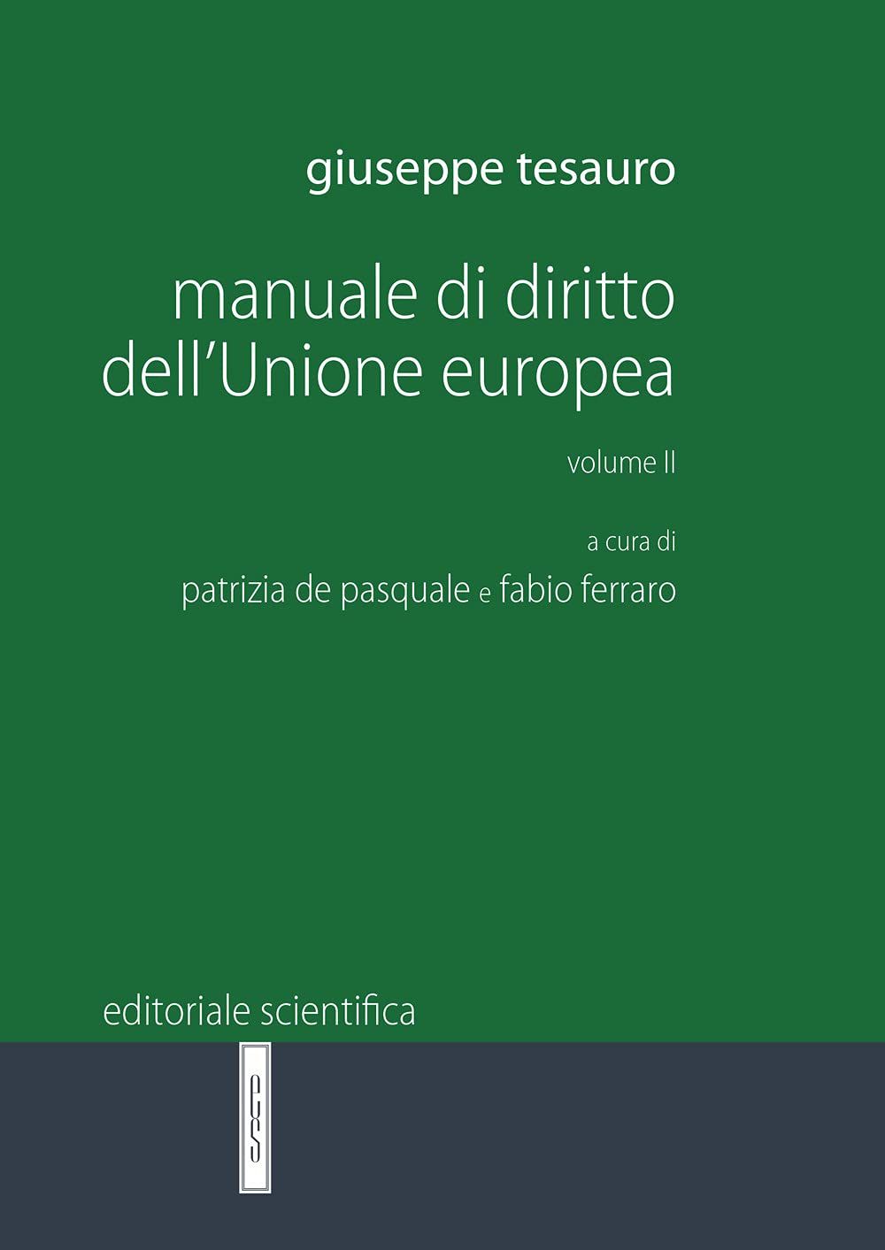 Manuale di diritto dell'Unione Europea (Vol. 2) (Manuali per l'Università) Law