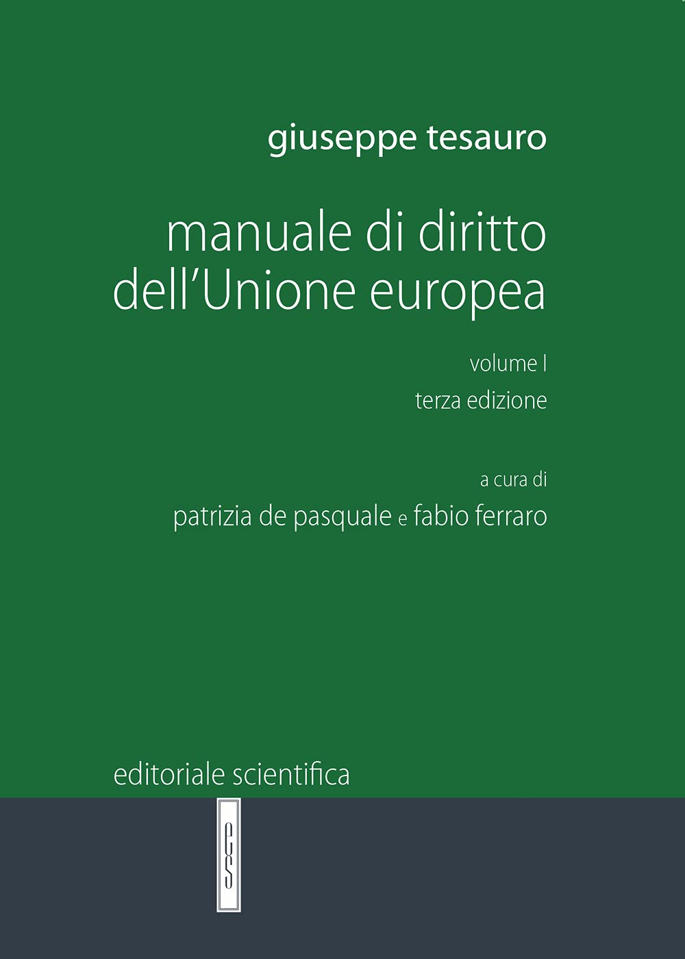 Manuale di diritto dell'Unione Europea (Vol. 1) (Manuali per l'Università) Law