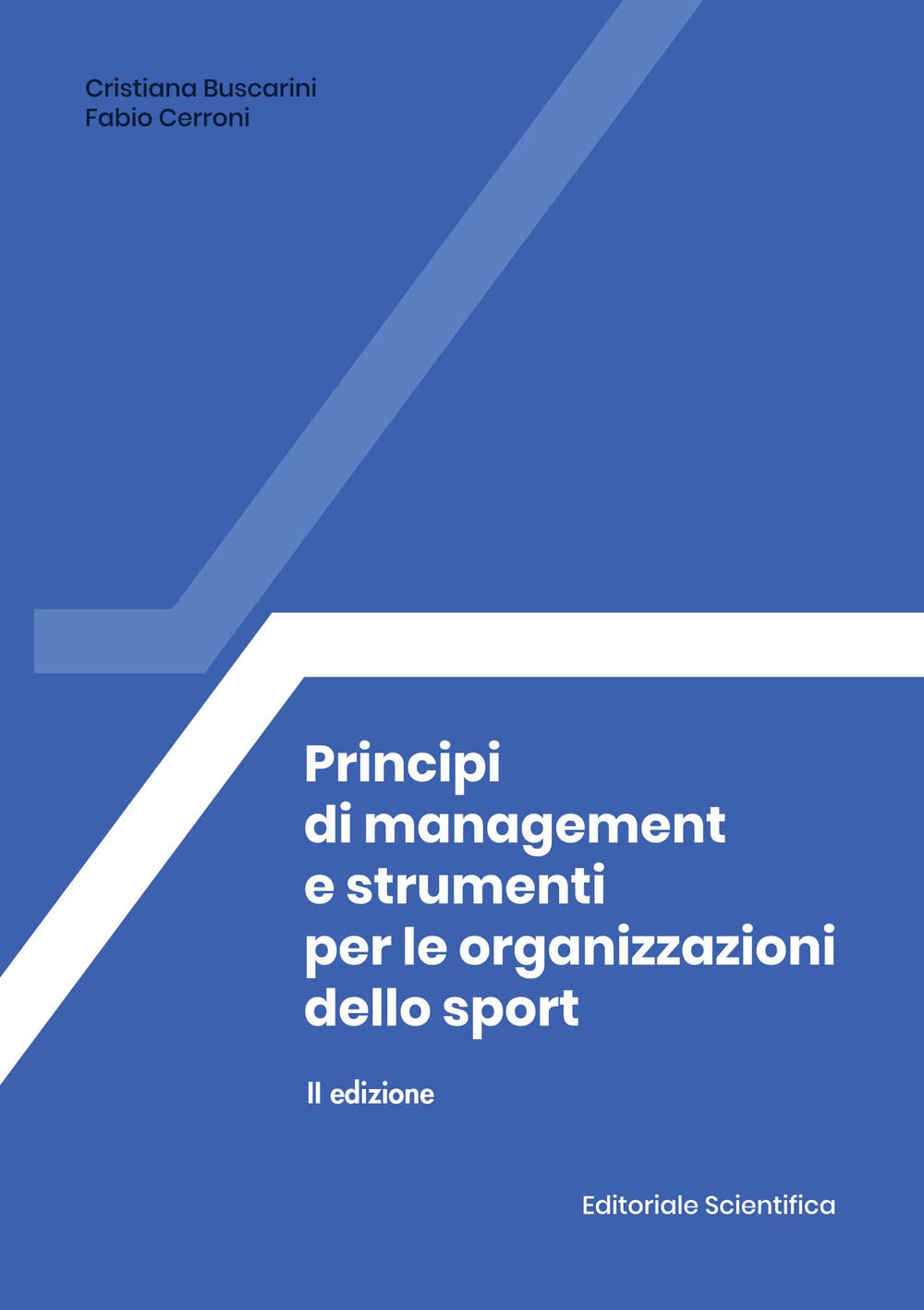 Principi di management e strumenti per le organizzazioni dello sport book