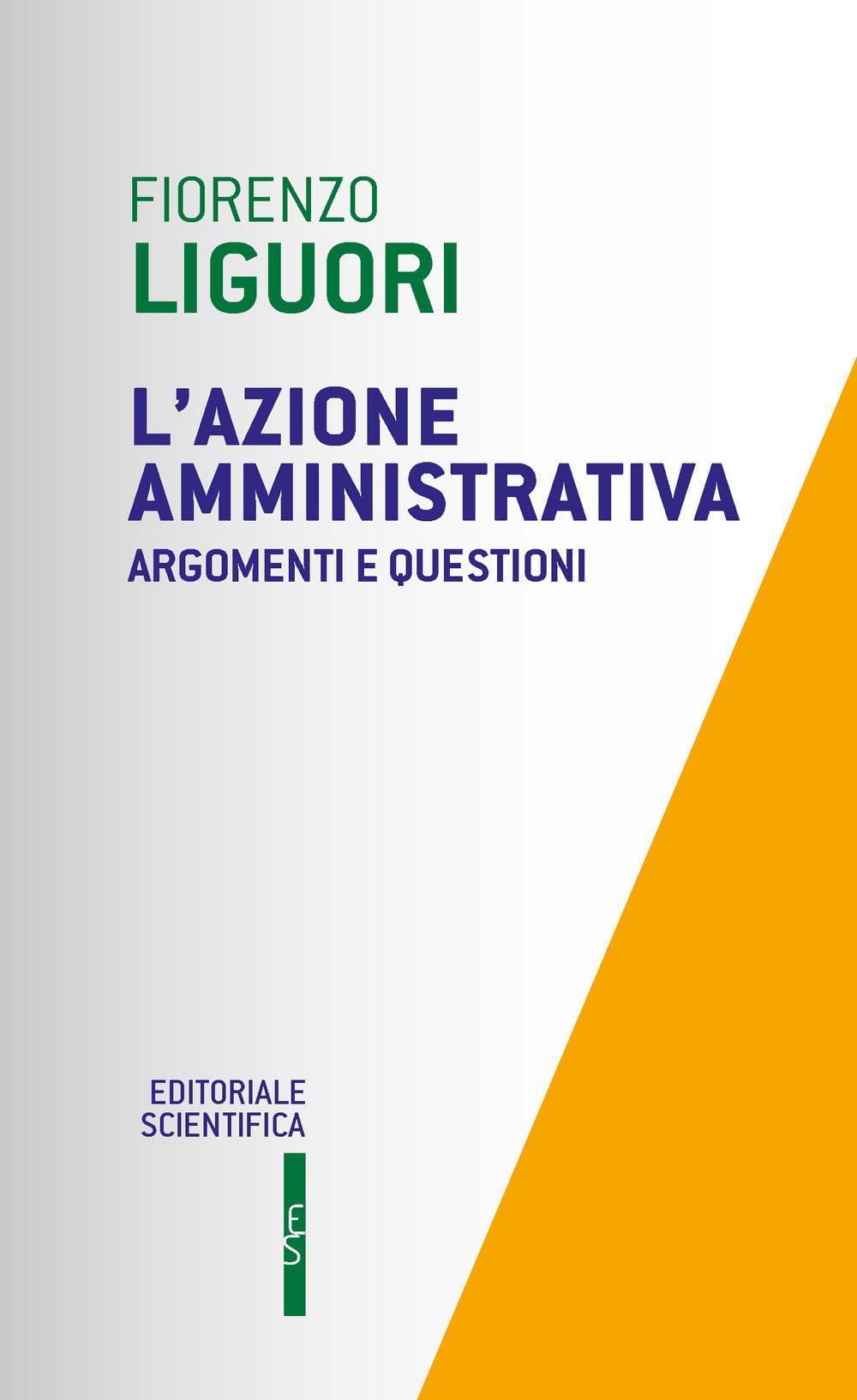 L'azione amministrativa. Argomenti e questioni book