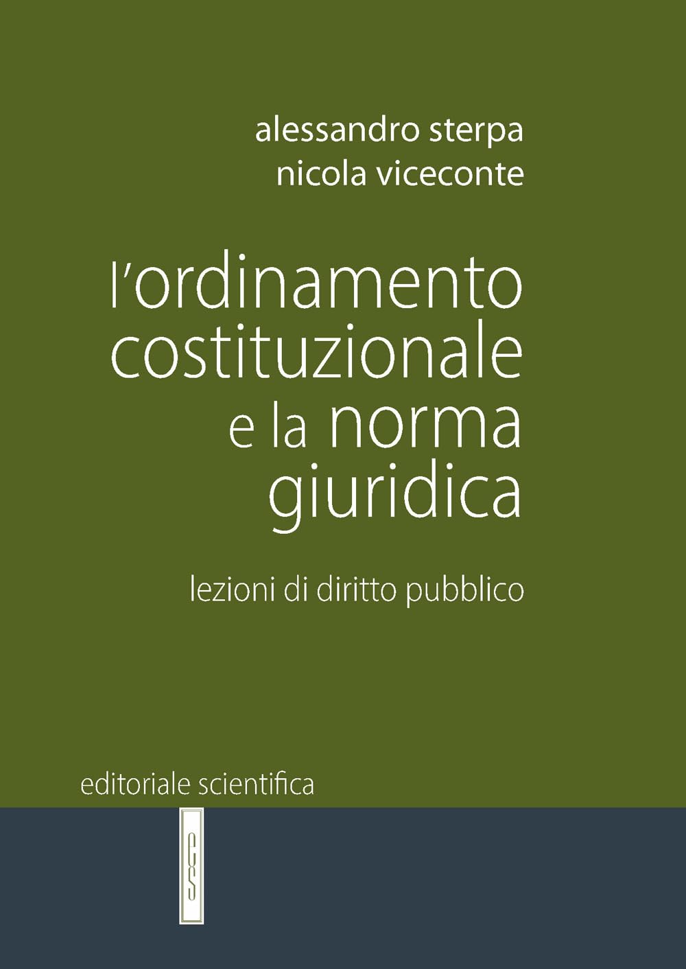 L'ordinamento costituzionale e la norma giuridica. Lezioni di diritto pubblico book