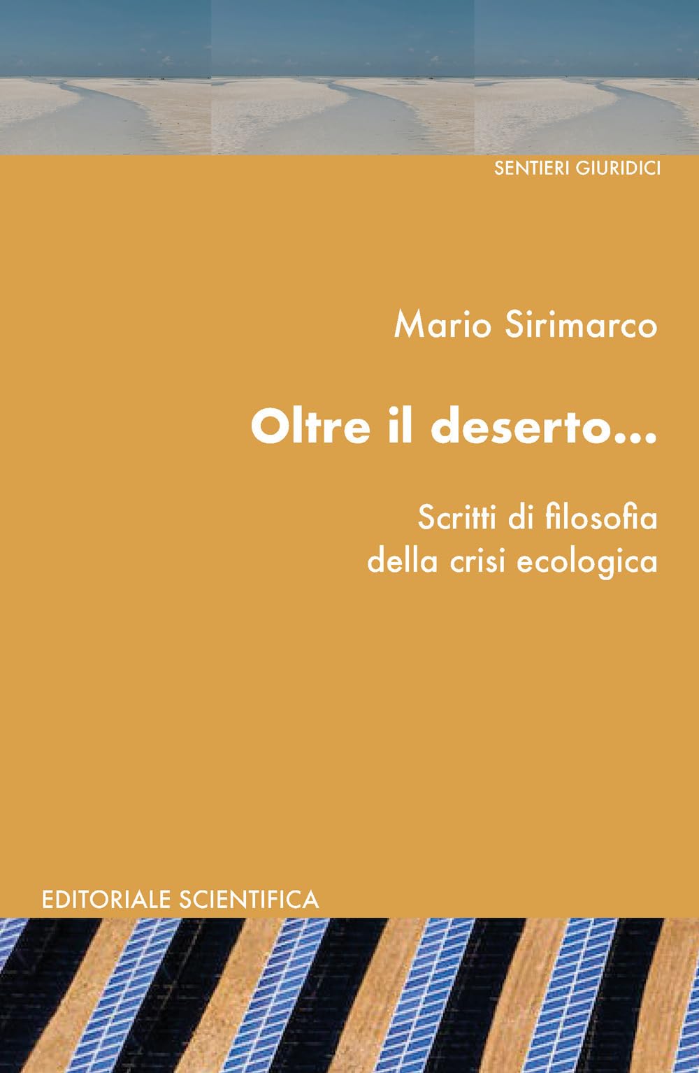 Oltre il deserto...Scritti di filosofia della crisi ecologica book