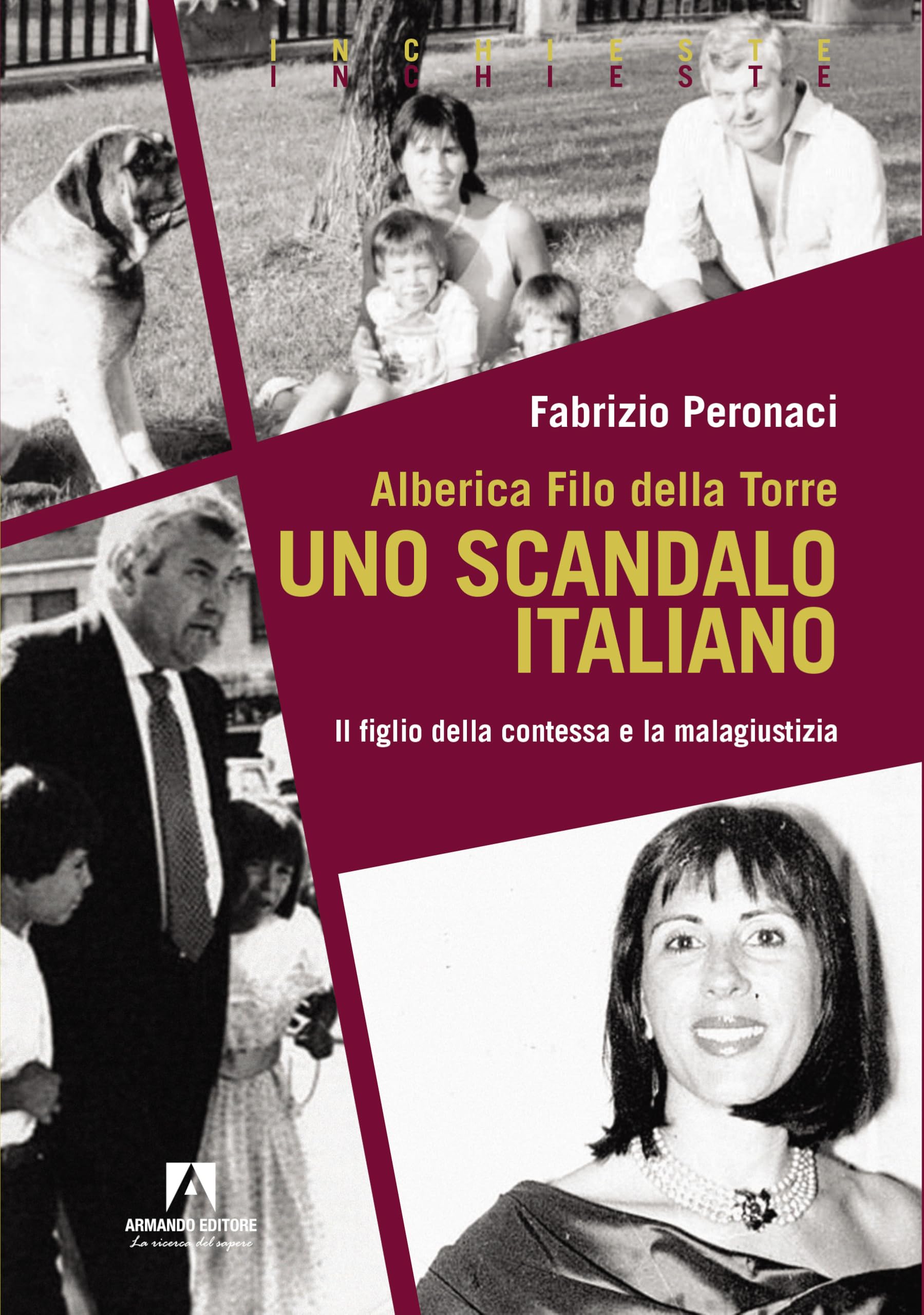 Alberica Filo della Torre. Uno scandalo italiano. Il figlio della contessa e la malagiustizia Social Sciences