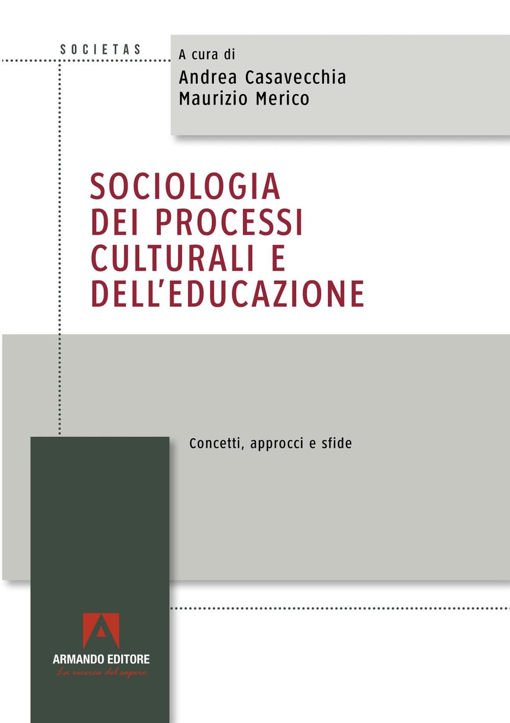 Sociologia dei processi culturali e dell’educazione. Concetti, approcci e sfide book