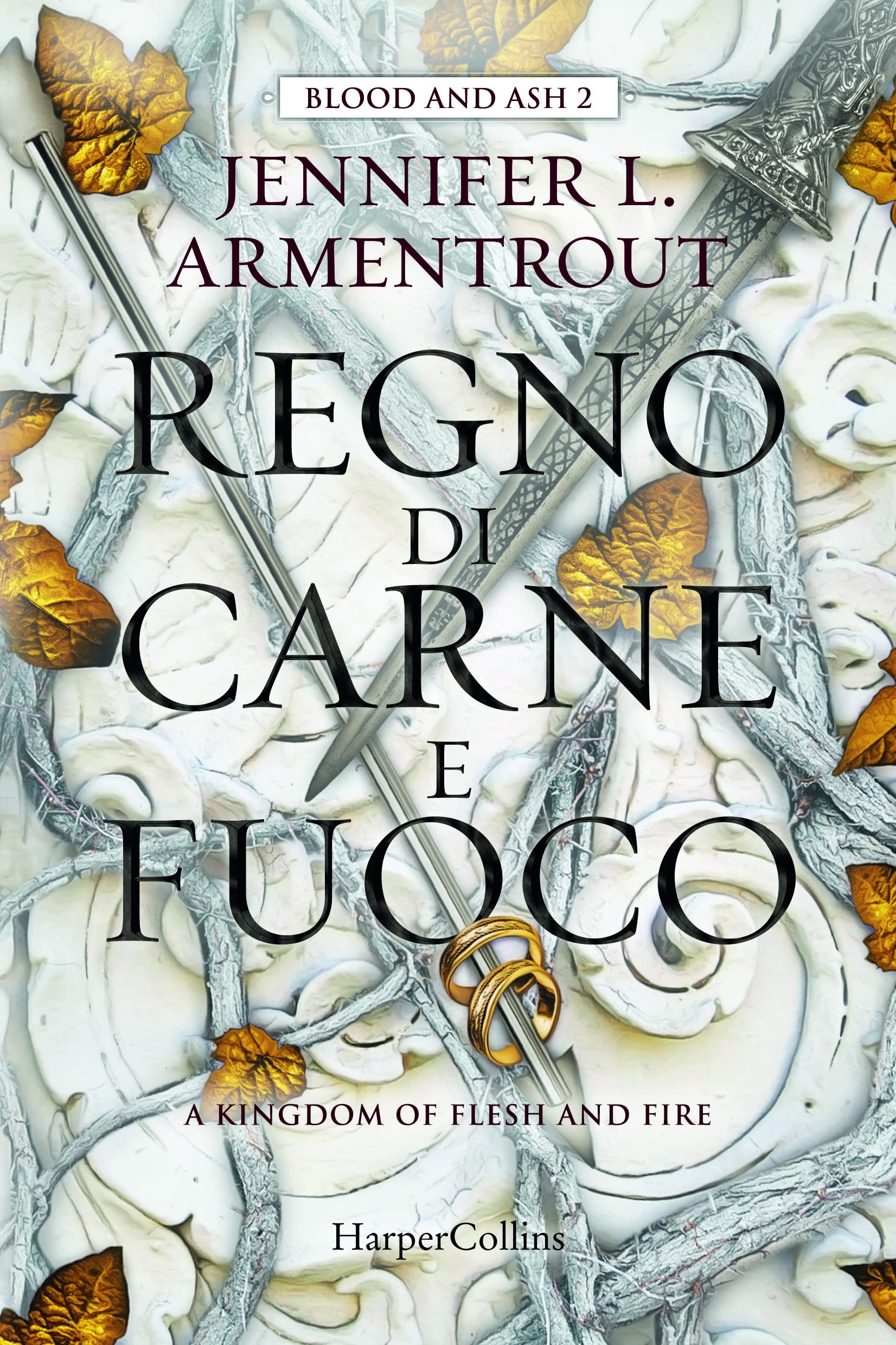 Regno di carne e fuoco. Blood and Ash (Vol. 2) book