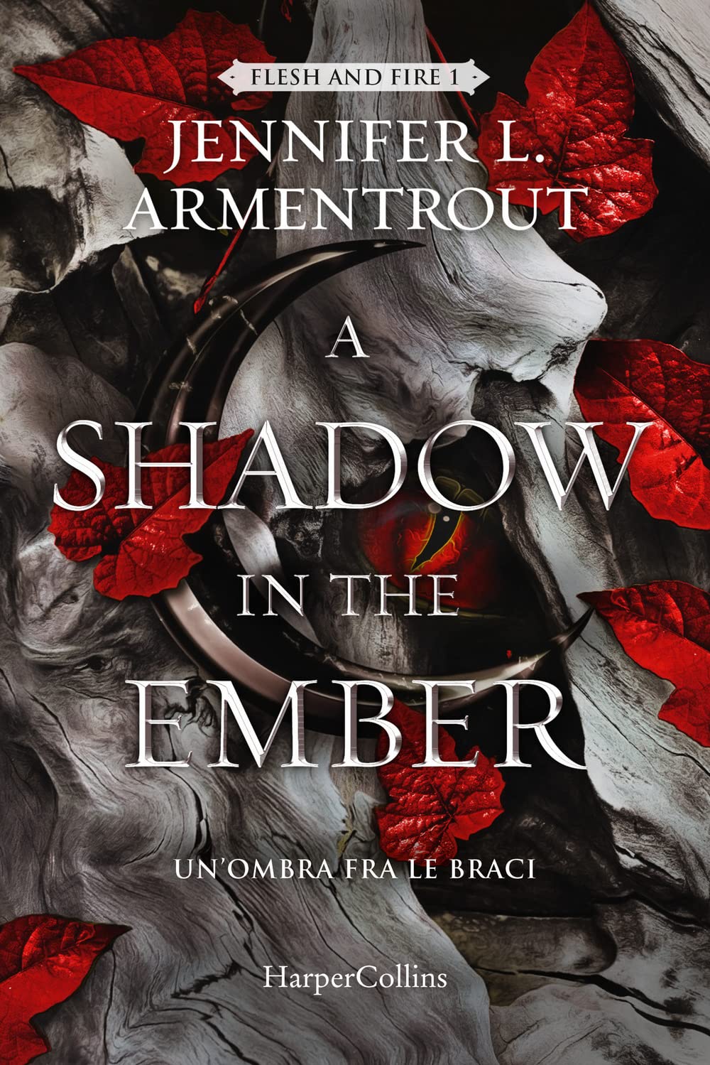 A shadow in the ember. Un'ombra fra le braci book