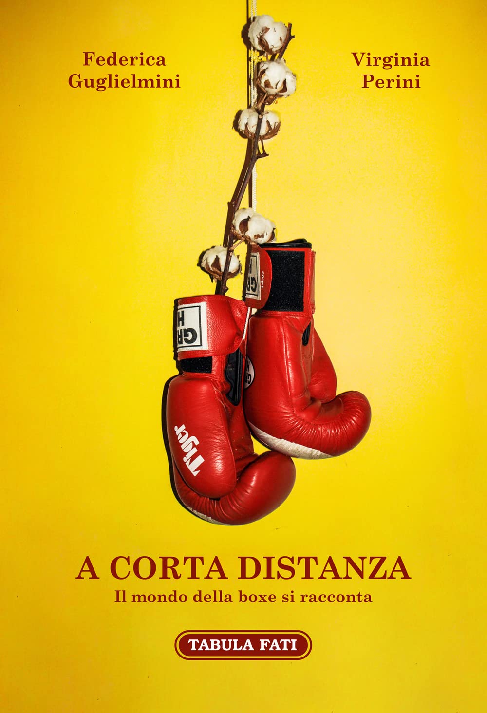 A corta distanza. Il mondo della boxe si racconta book
