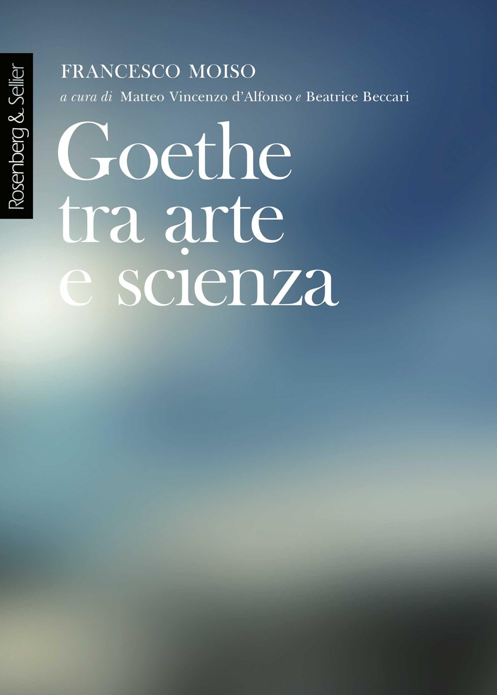 Goethe tra arte e scienza. Lezioni dell'anno accademico 2000-2001 book