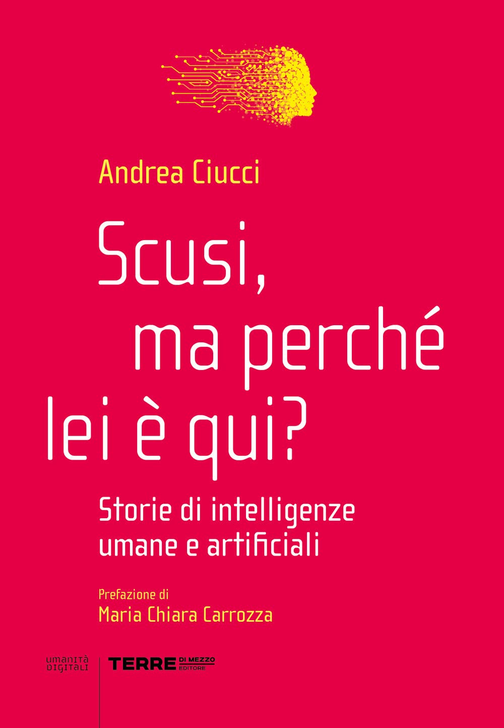 Scusi, ma perché lei è qui? Storie di intelligenze umane e artificiali (Umanità digitali) Books