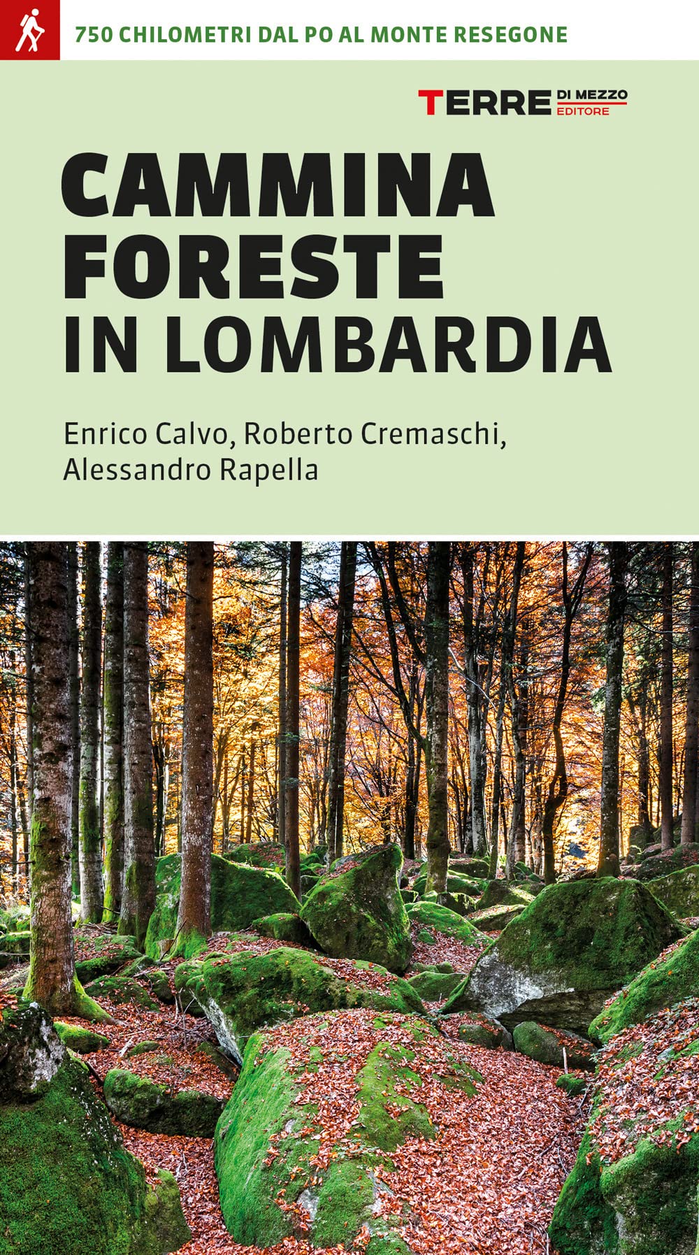 CamminaForeste in Lombardia 750 chilometri dal Po al monte Resegone (Percorsi) Leisure, Home & Garden