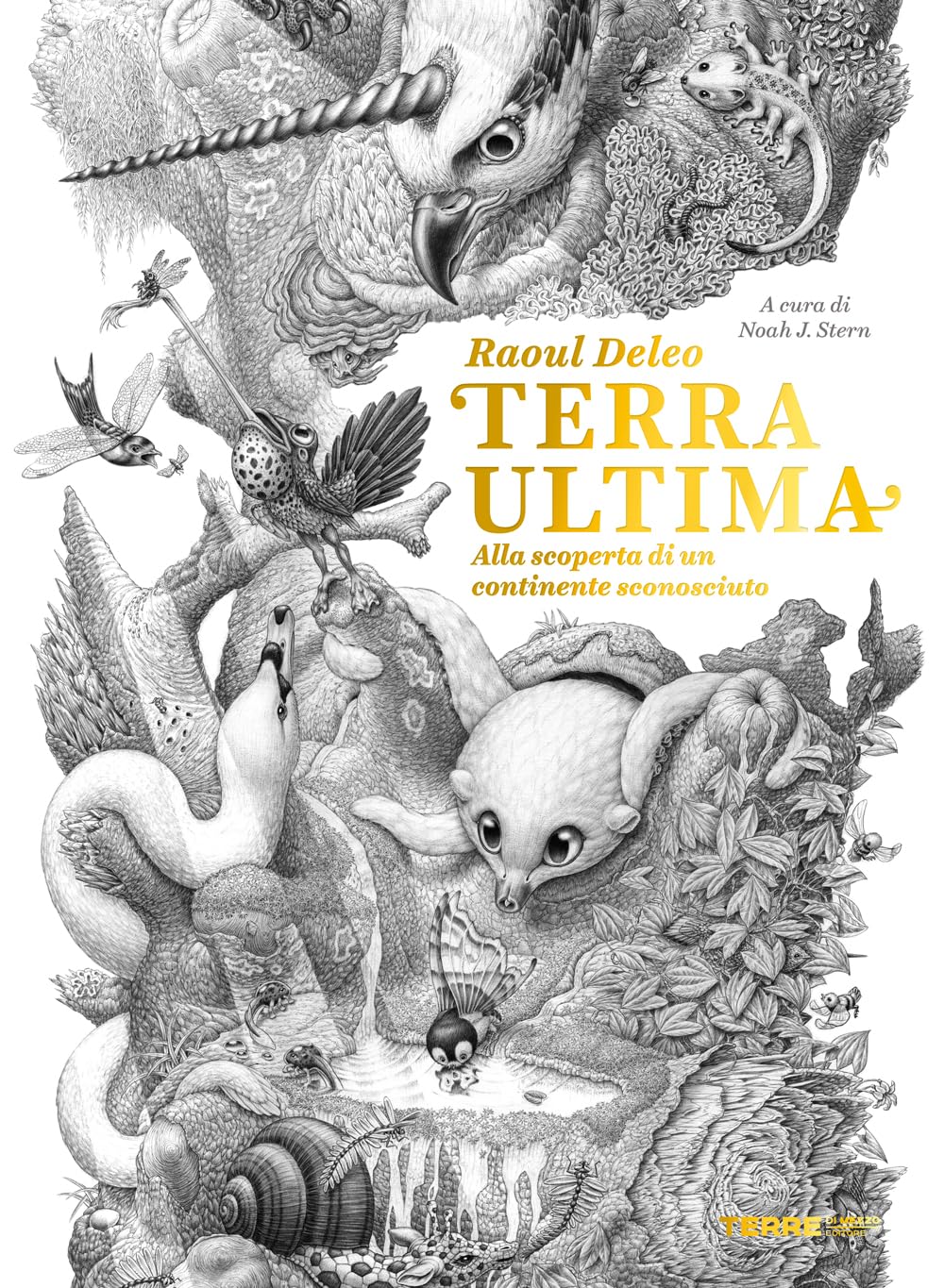 Terra ultima. Alla scoperta di un continente sconosciuto (Acchiappastorie) Non-fiction