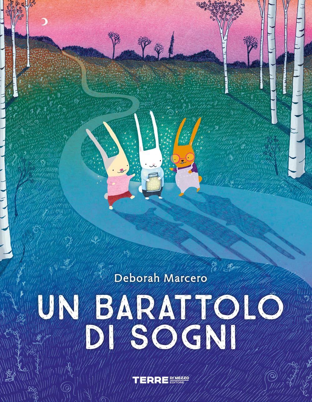 Un barattolo di sogni. Ediz. a colori book