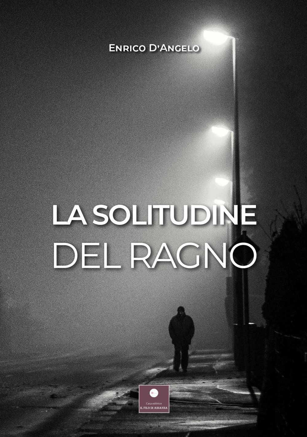 La solitudine del ragno book