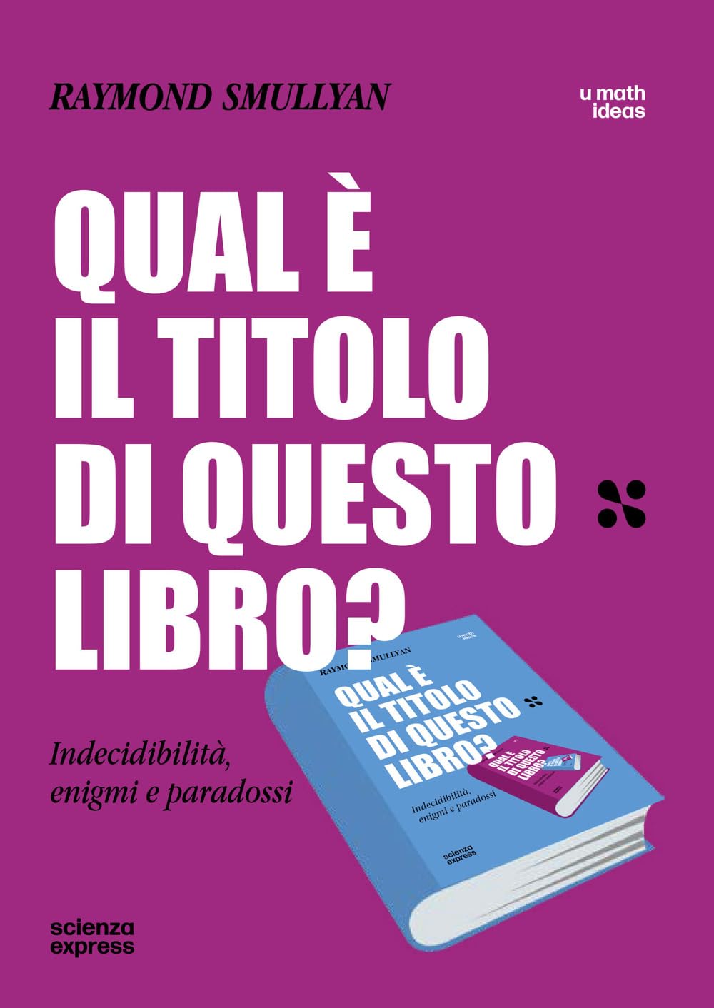 Qual è il titolo di questo libro? Indecidibilità, enigmi e paradossi book