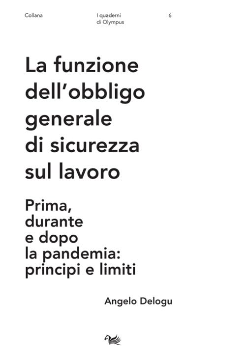 La funzione dell'obbligo generale di sicurezza sul lavoro. Prima, durante e dopo la pandemia: principi e limiti book