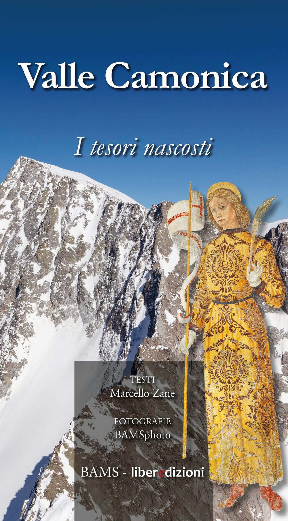 Valle Camonica. I tesori nascosti book