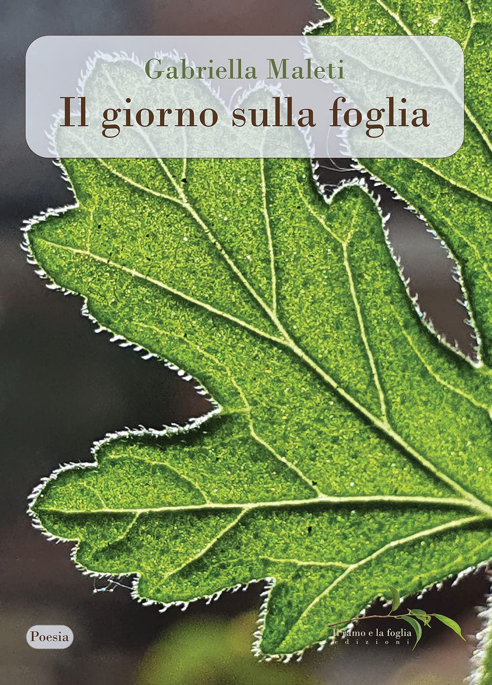 Il giorno sulla foglia book