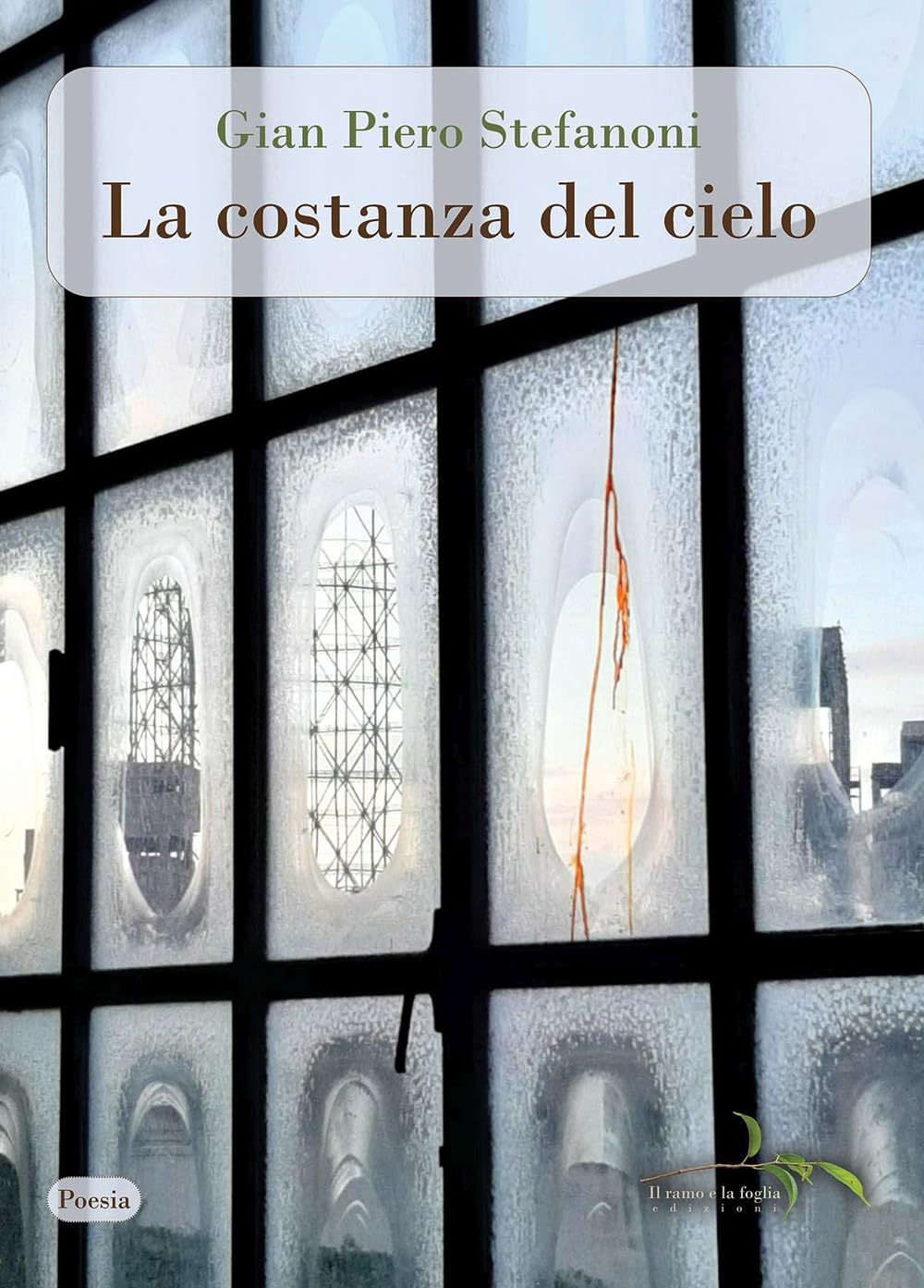 La costanza del cielo book