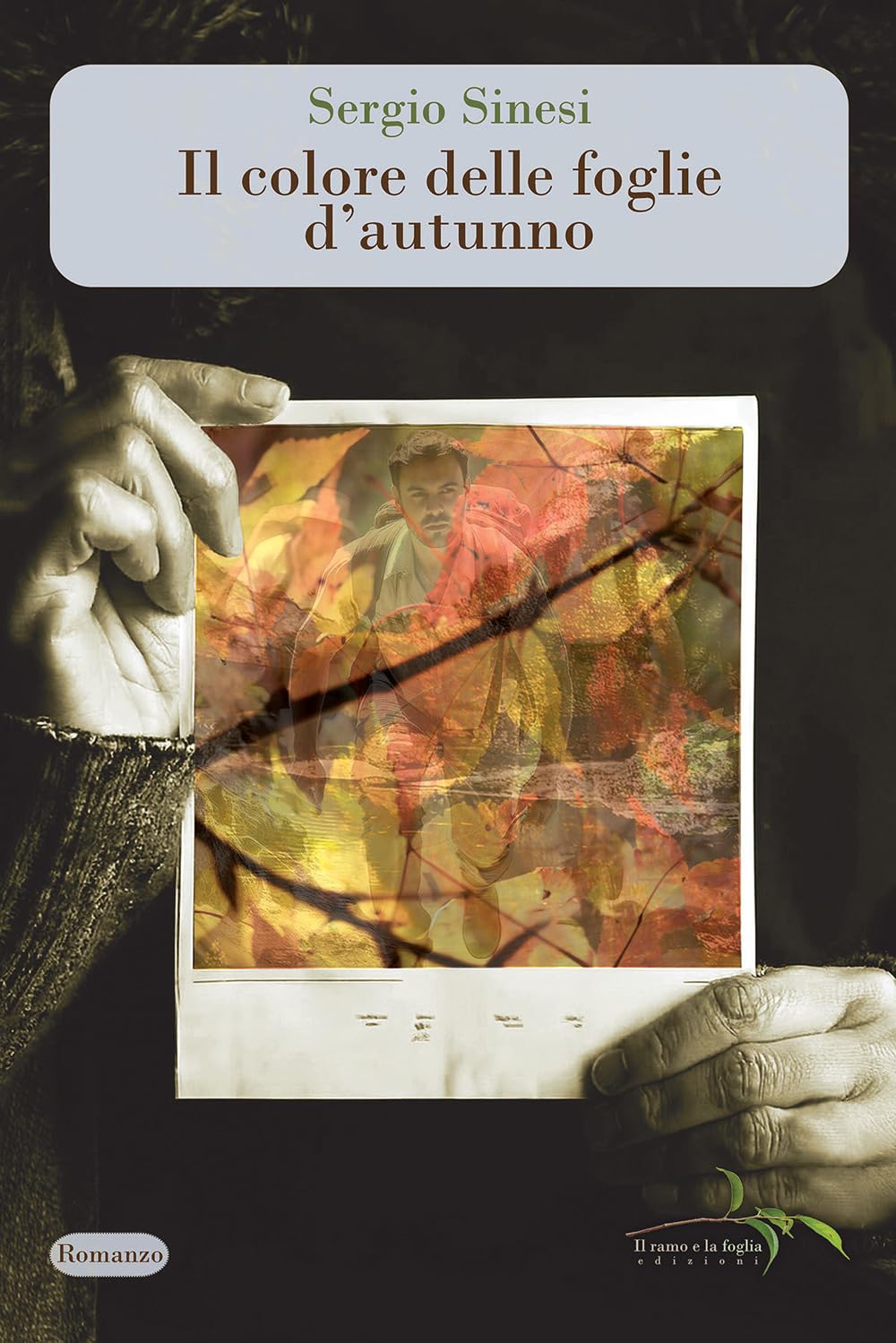 Il colore delle foglie d'autunno book