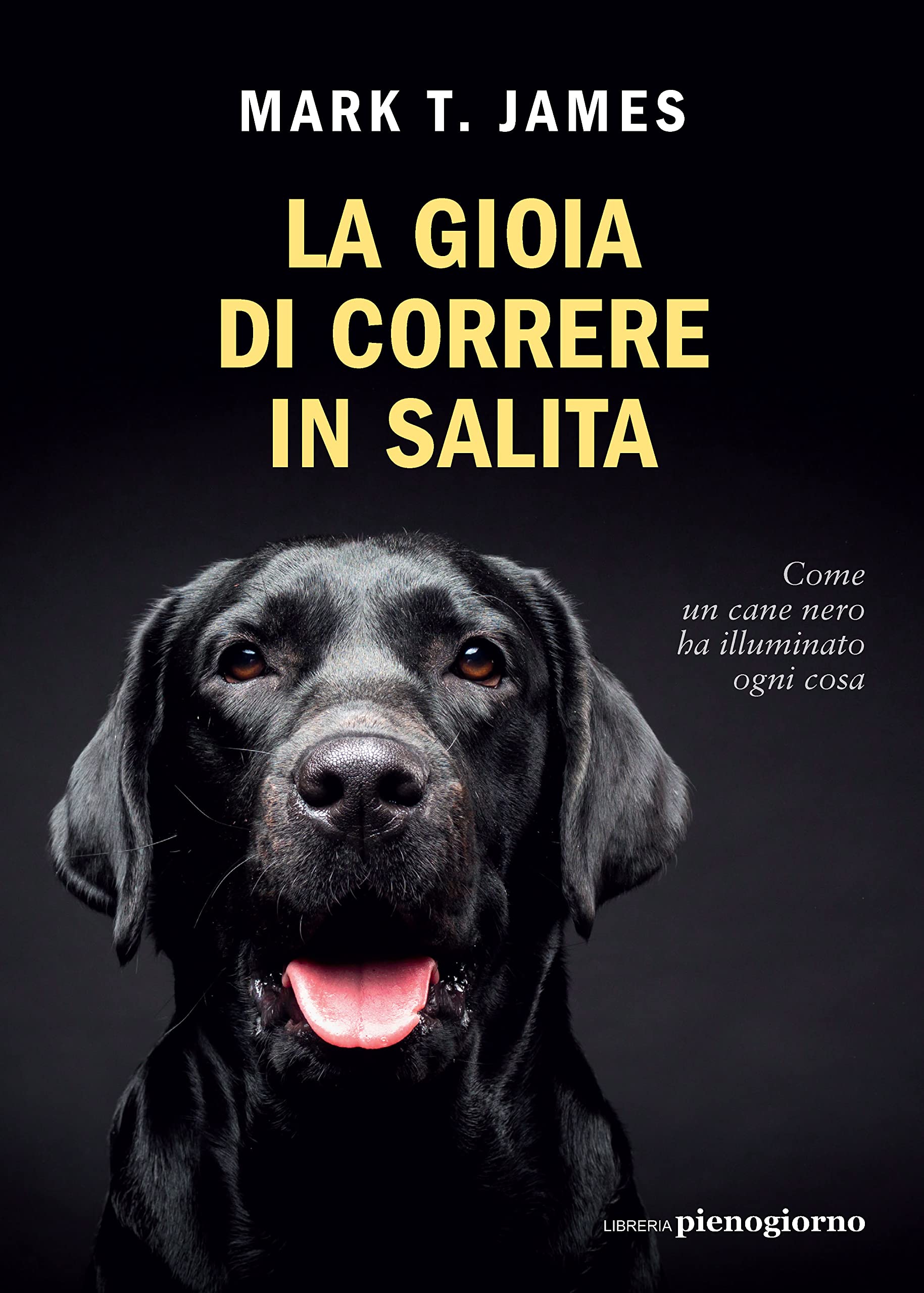 La gioia di correre in salita. Come un cane nero ha illuminato ogni cosa Memories