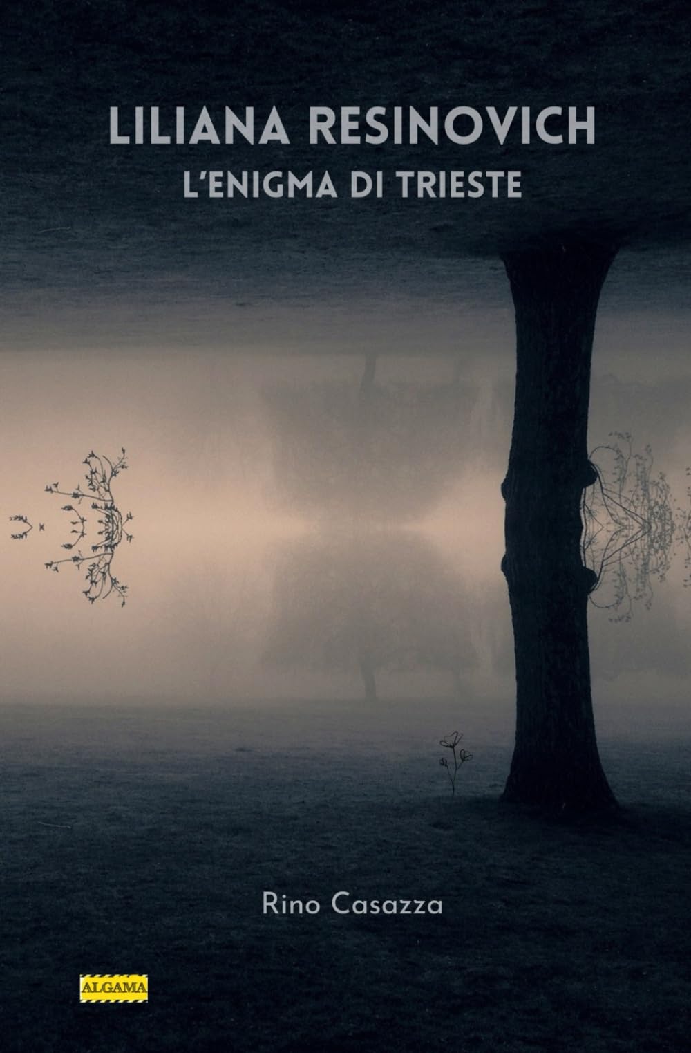 Liliana Resinovich, l'enigma di Trieste book