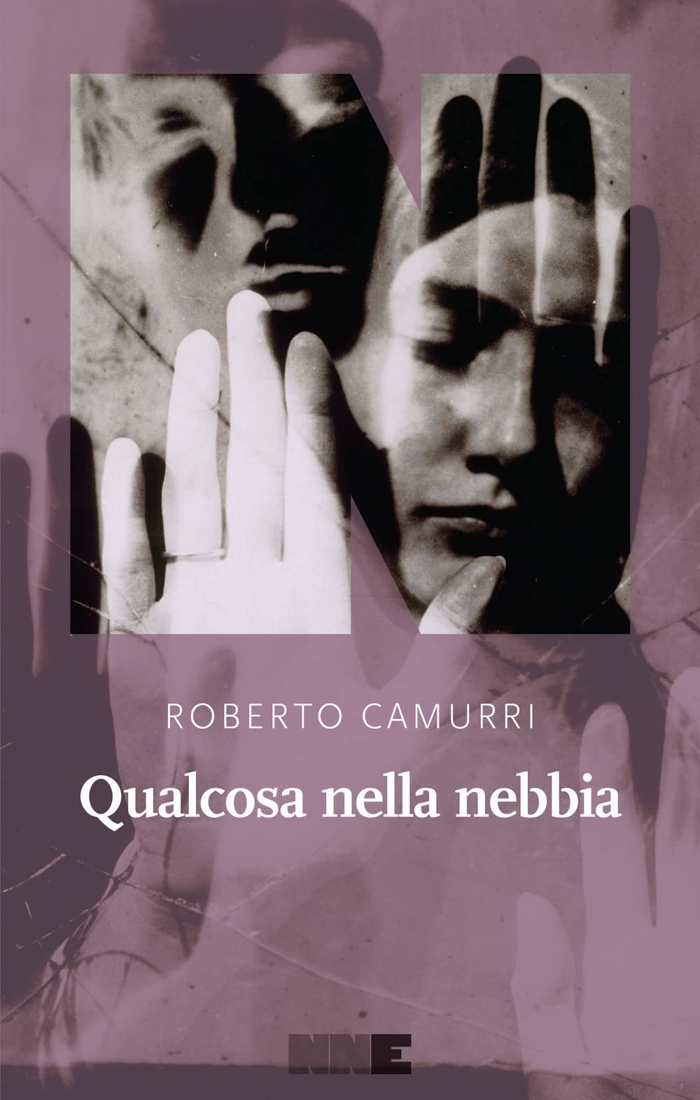Qualcosa nella nebbia (La stagione) Contemporary literature