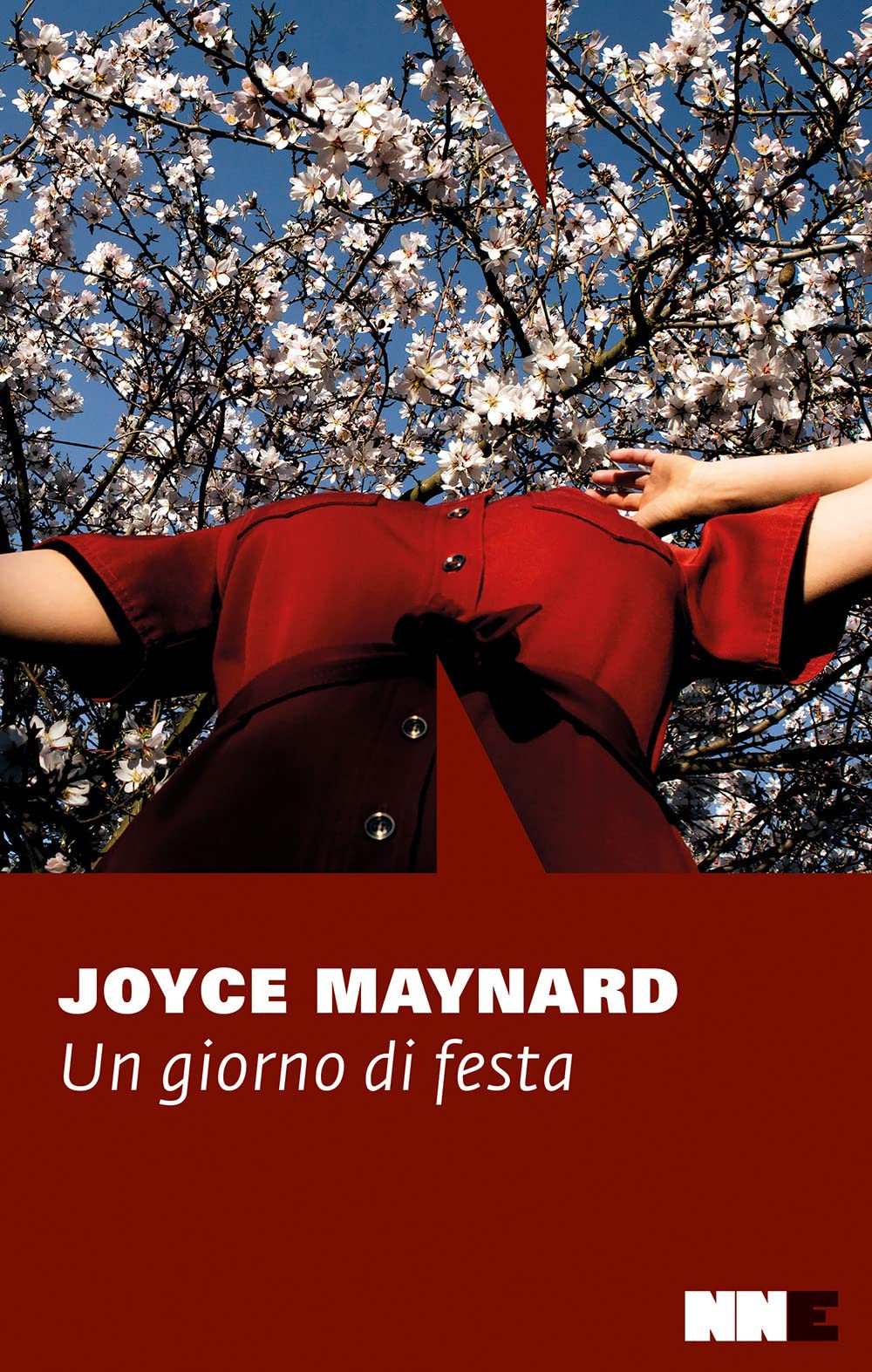 Un giorno di festa book