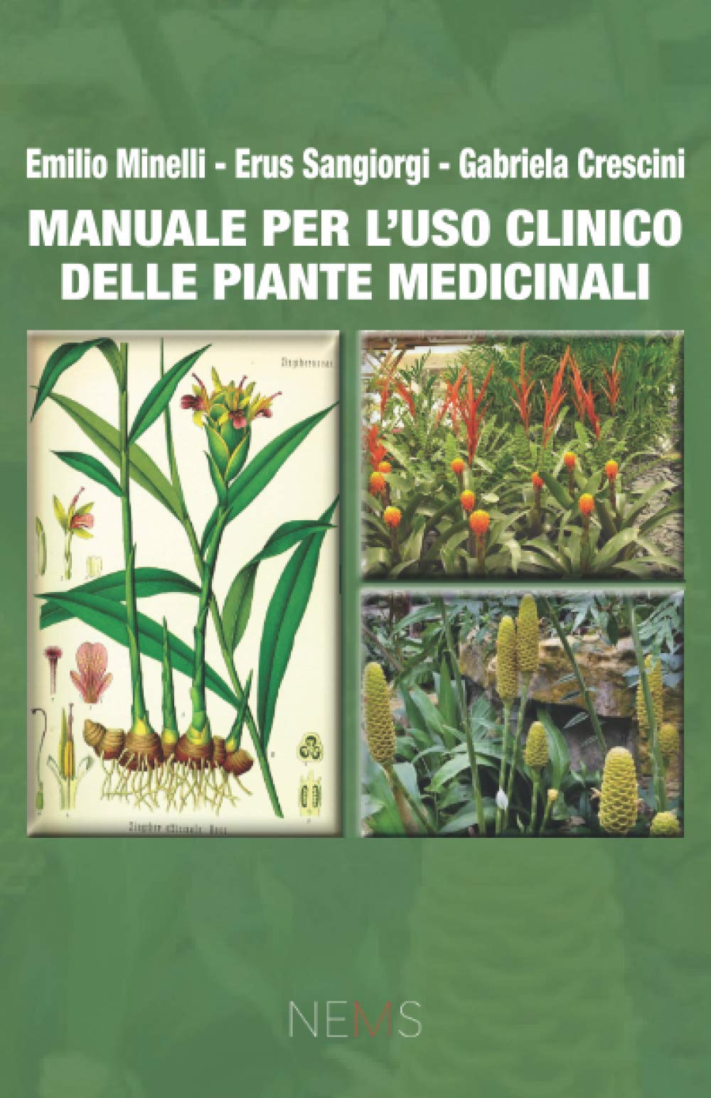 Manuale per l’uso clinico delle piante medicinali Medicine