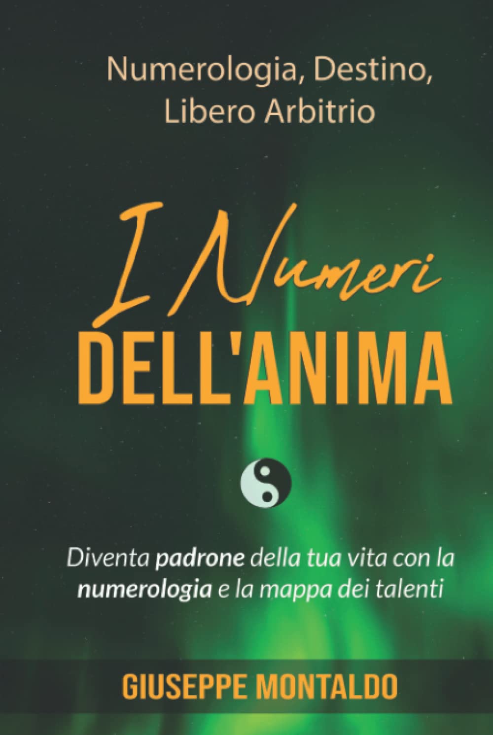 I Numeri dell’Anima: Diventa padrone della tua vita con la numerologia e la mappa dei talenti book