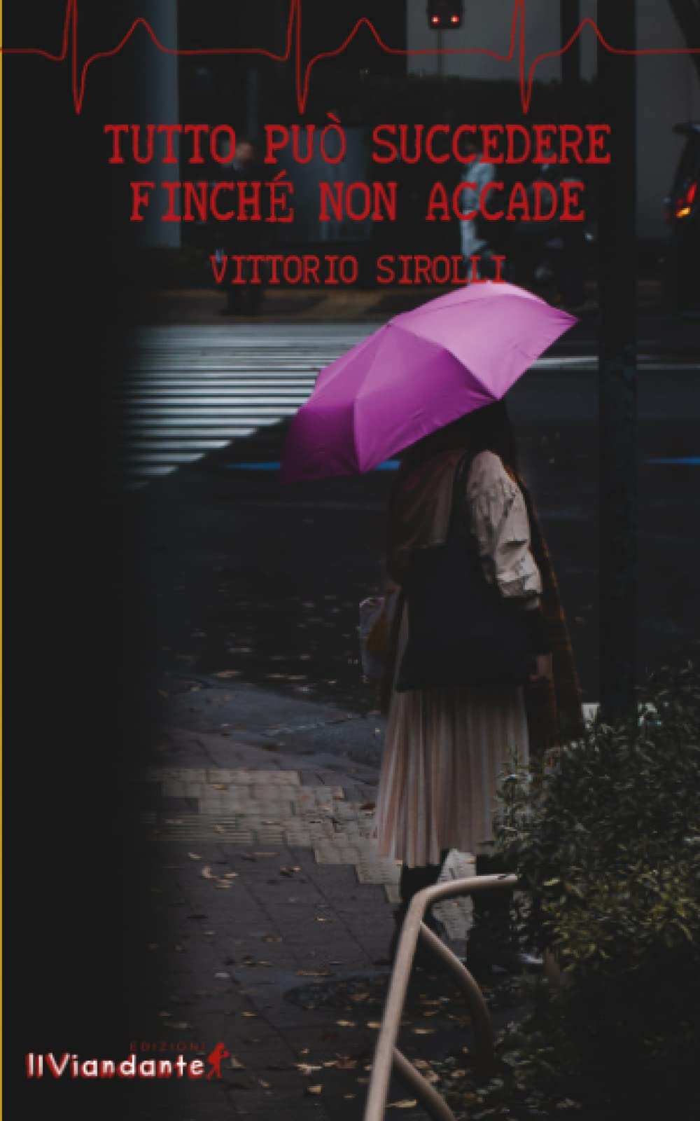 Tutto può succedere finché non accade book