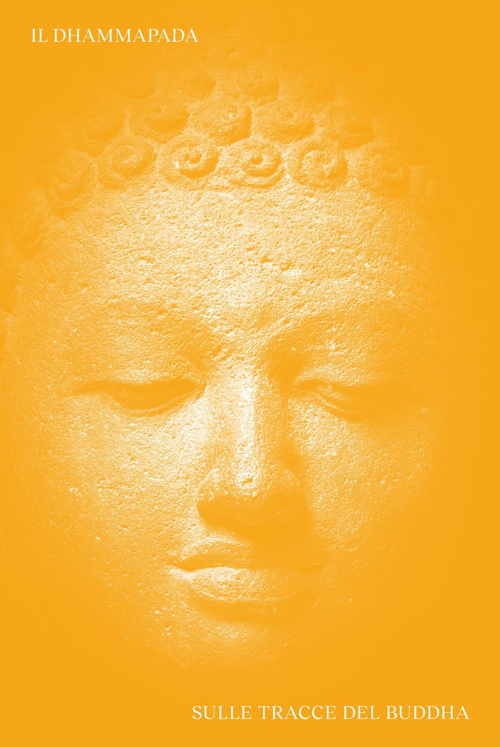 Dhammapada. Sulle tracce del Buddha. Ediz. italiana, inglese, latina e pali (Radice) Second hand books on Religion & Esotericism