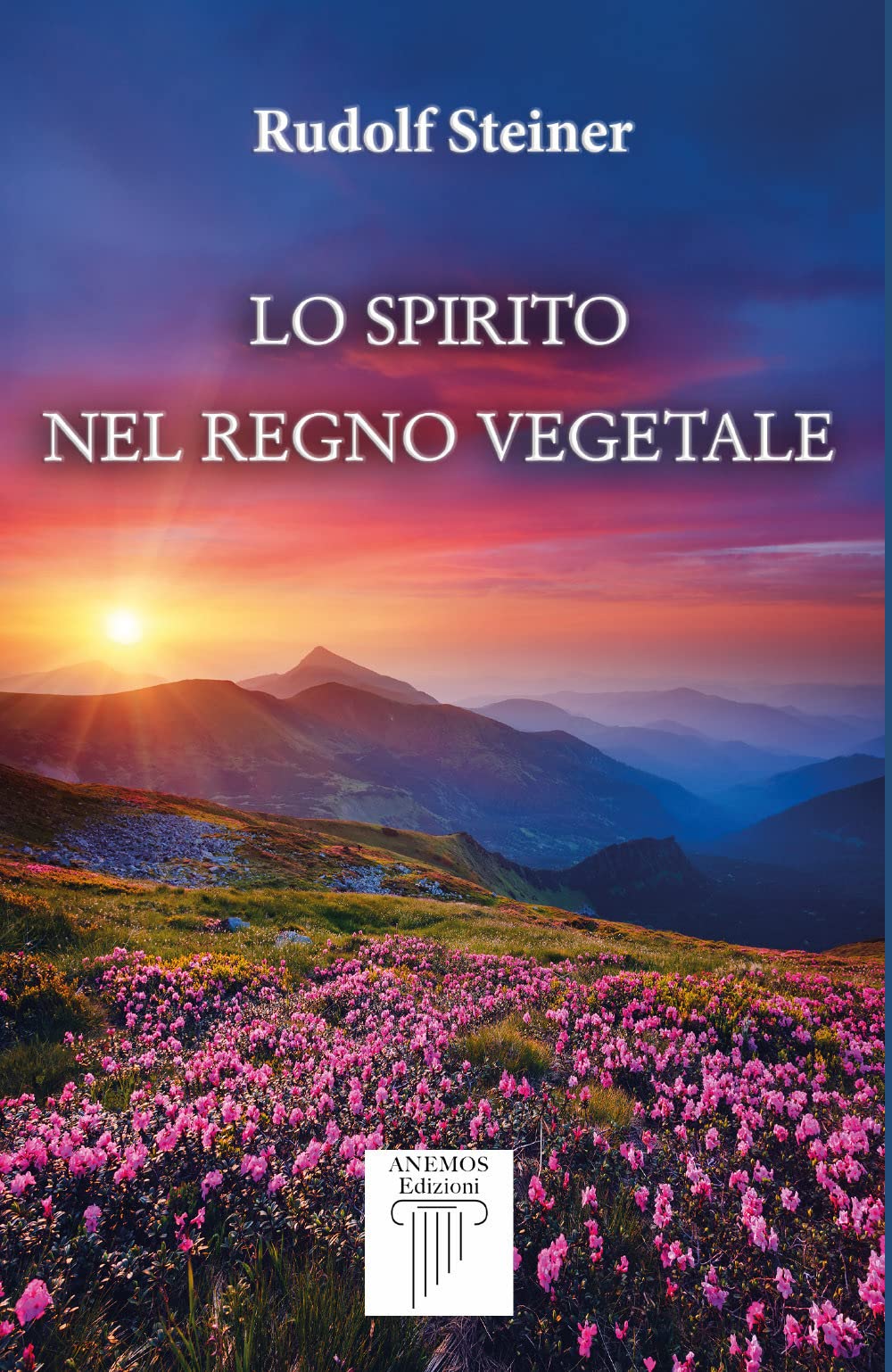 Lo Spirito nel Regno Vegetale book