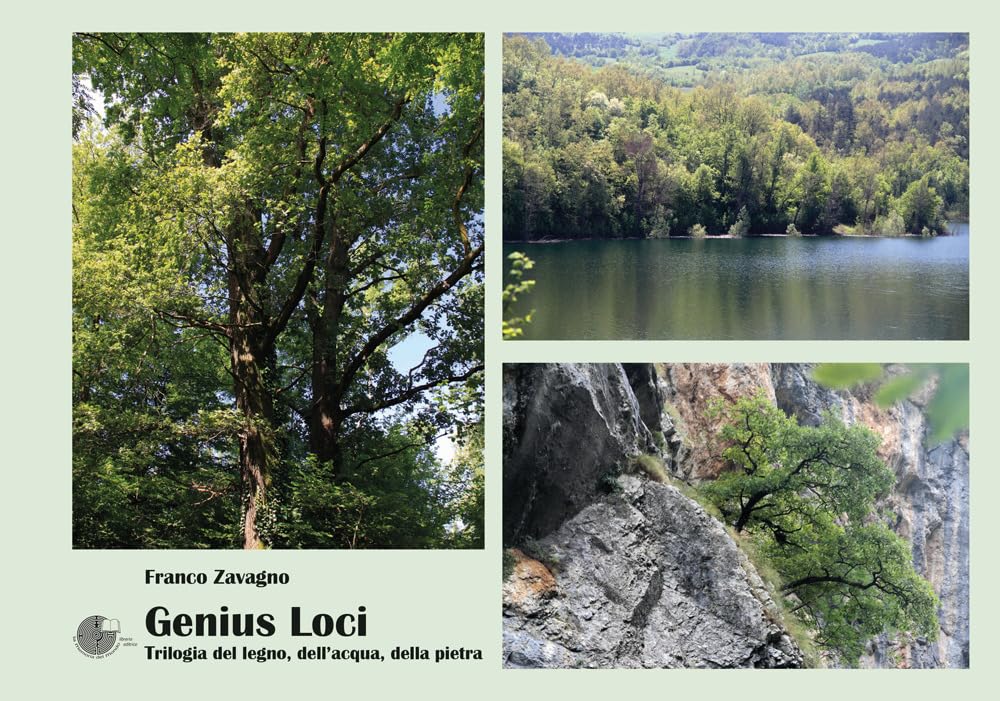 Genius loci. Trilogia del legno, dell'acqua, della pietra. Ediz. illustrata book