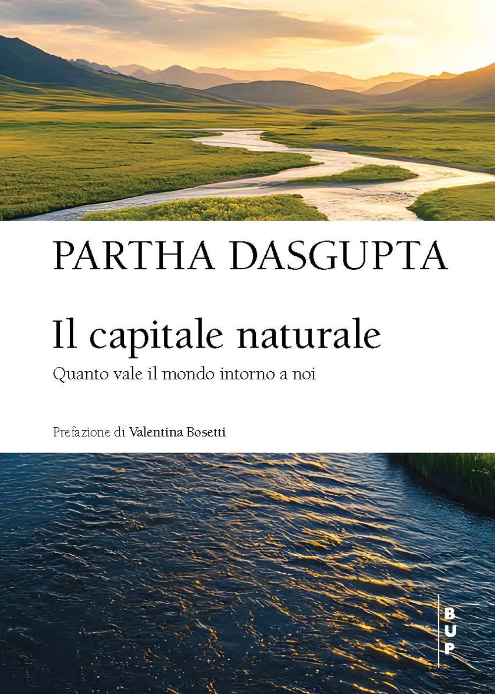 Il capitale naturale. Quanto vale il mondo intorno a noi Business, Finance & Career