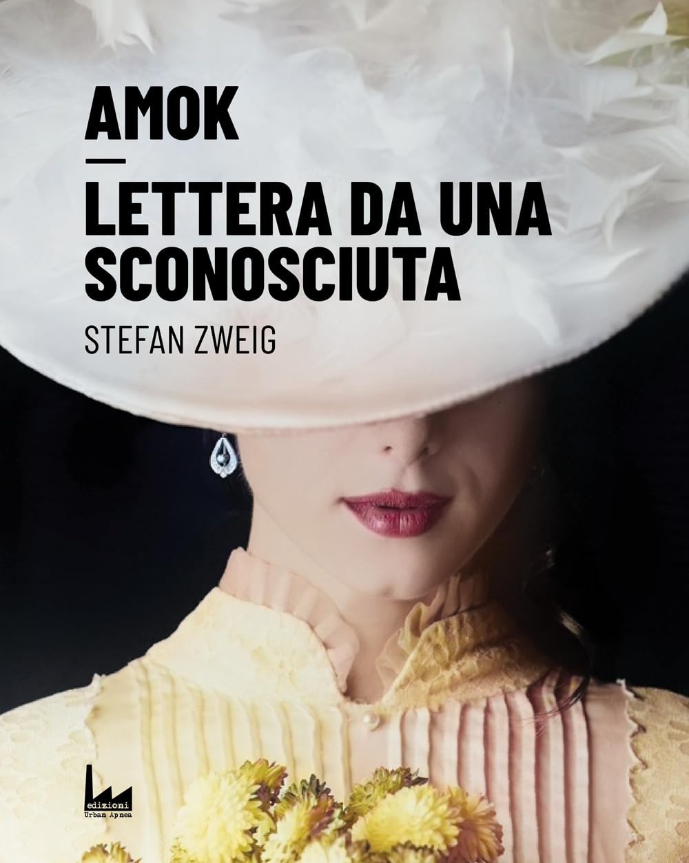 Amok-Lettera da una sconosciuta book