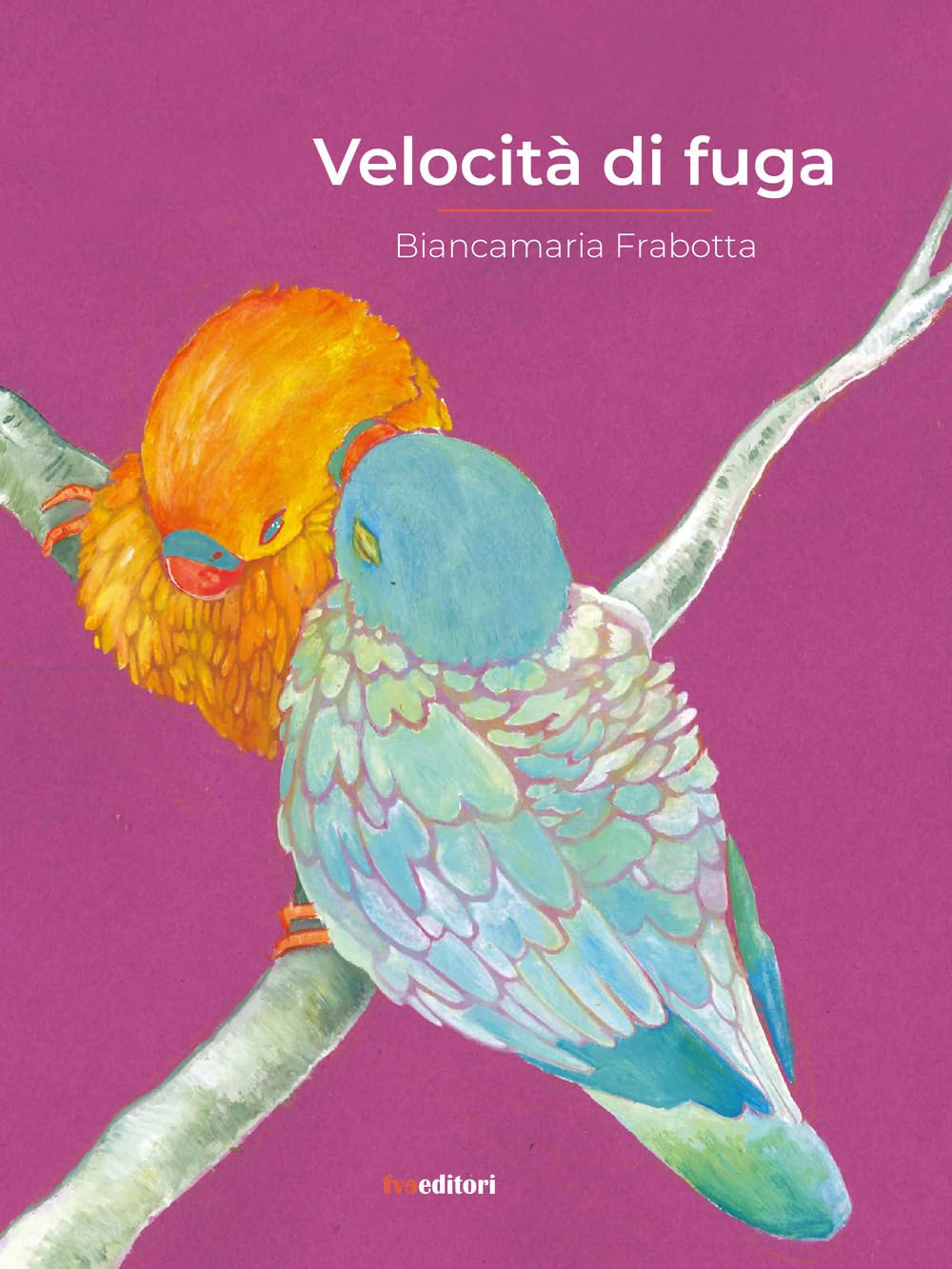 Velocità di fuga book