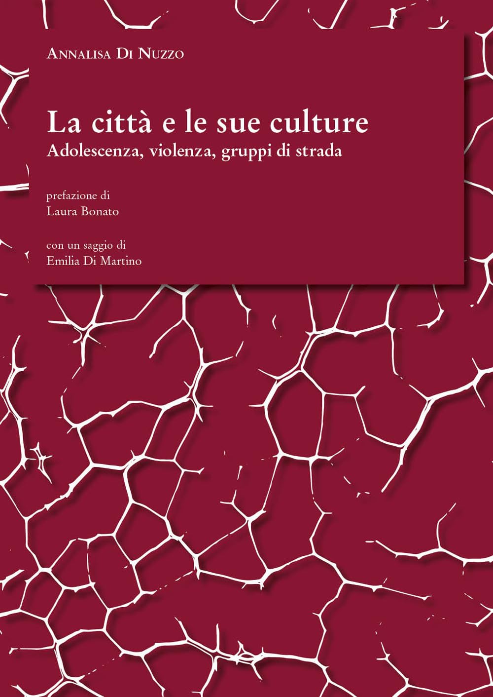 La città e le sue culture. Adolescenza, violenza, gruppi di strada Books