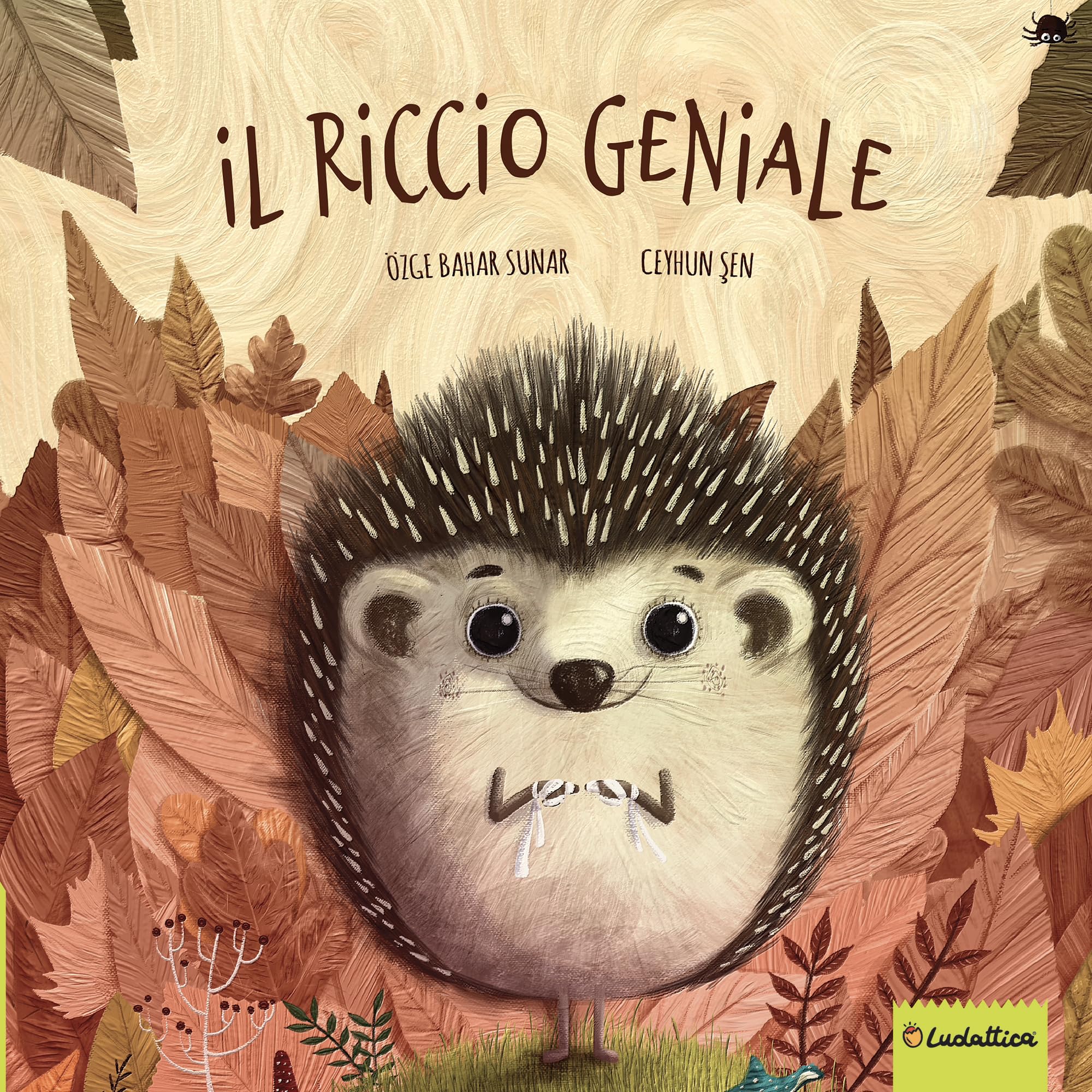Il riccio geniale. Ediz. illustrata book