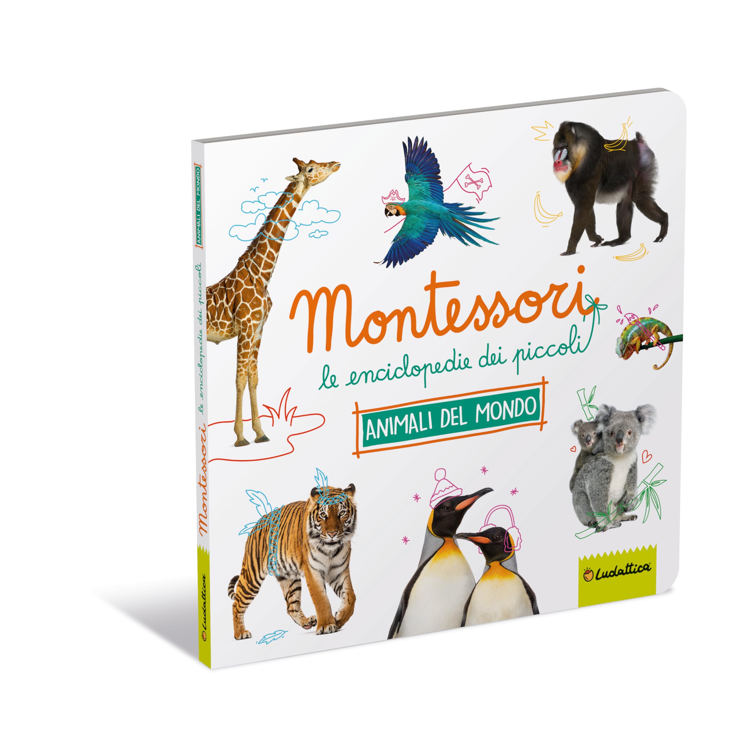 Animali da tutto il mondo. Montessori. Le enciclopedie dei piccoli. Ediz. a colori book