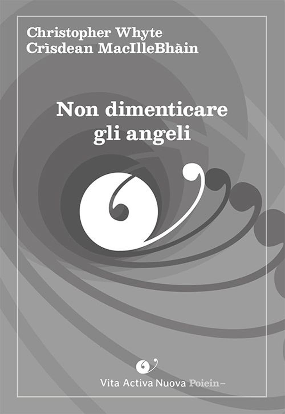 Non dimenticare gli angeli. Ediz. italiana e irlandese book
