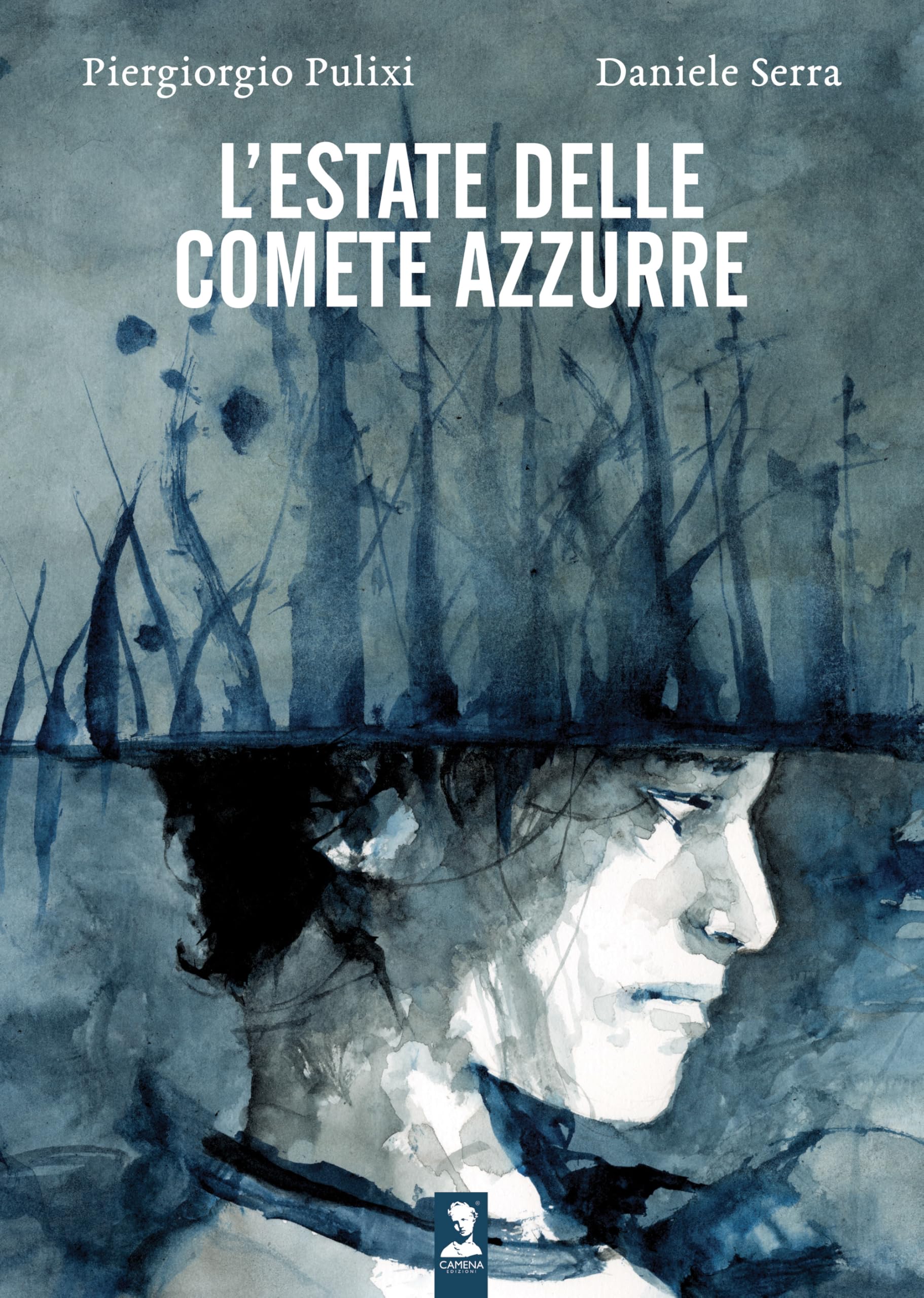 L'estate delle comete azzurre book