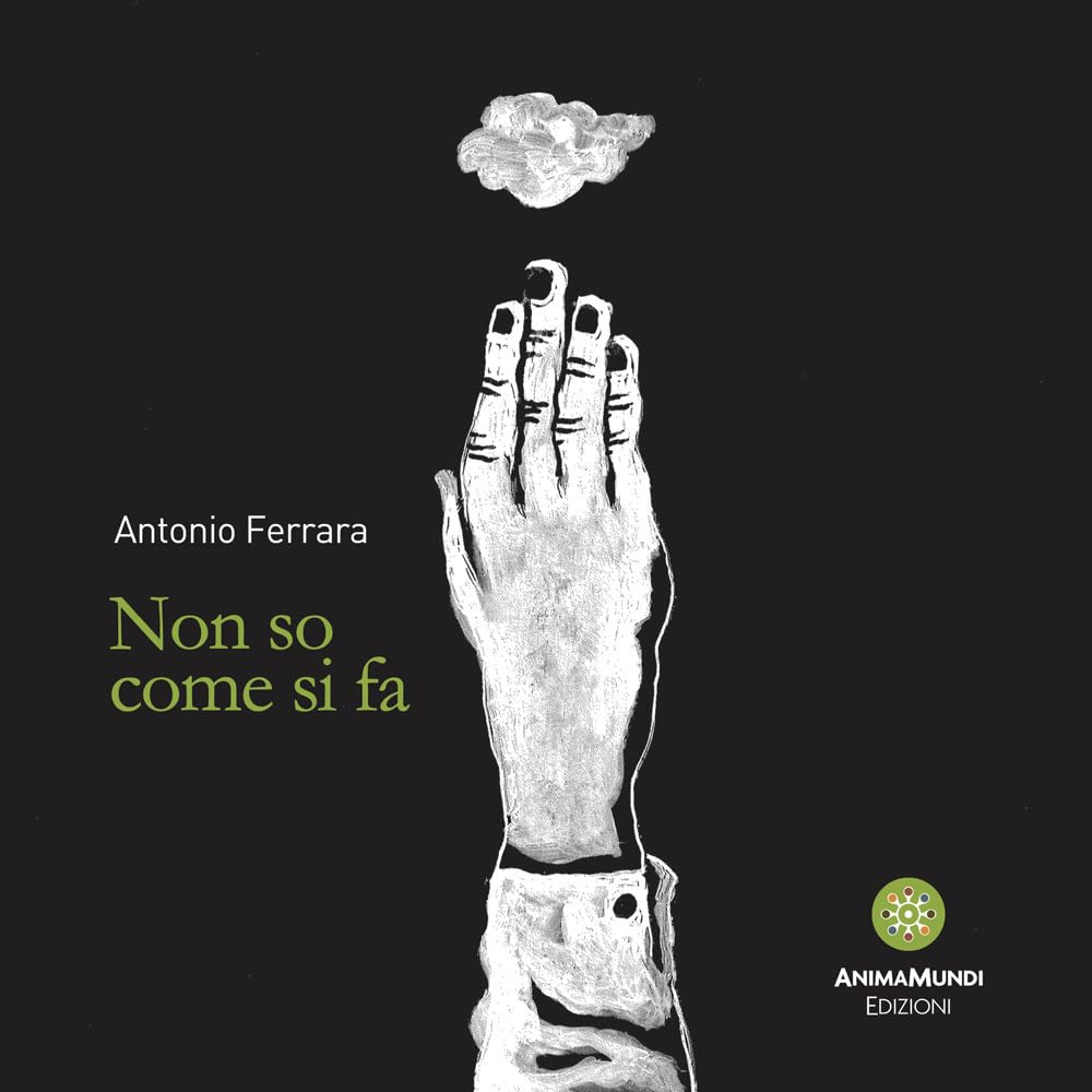 Non so come si fa Fiction books for children