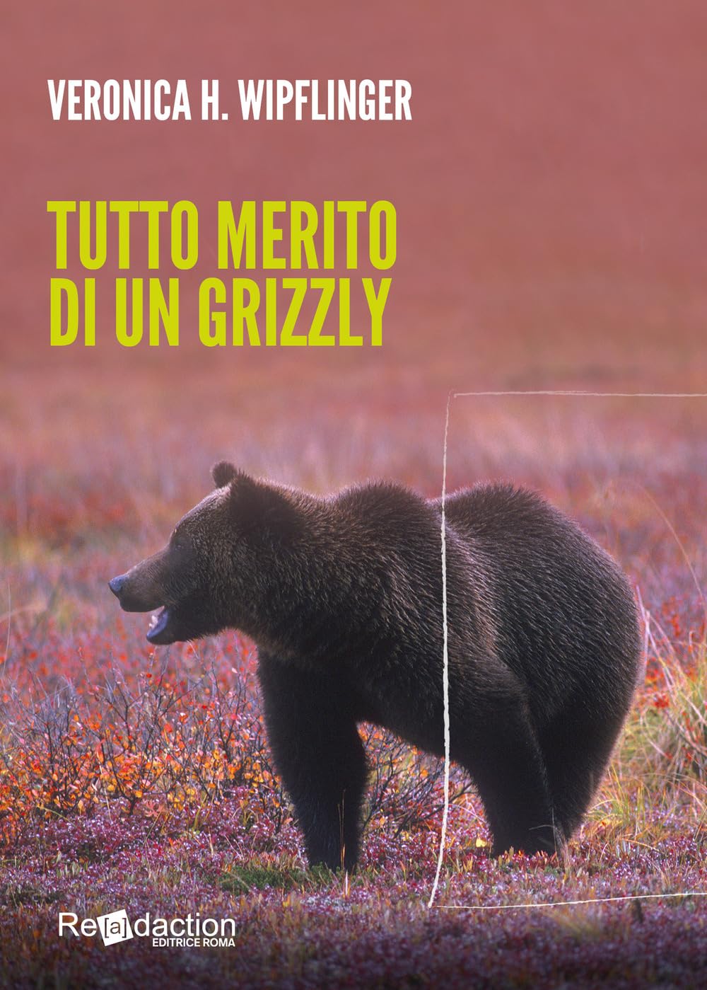 Tutto merito di un grizzly book
